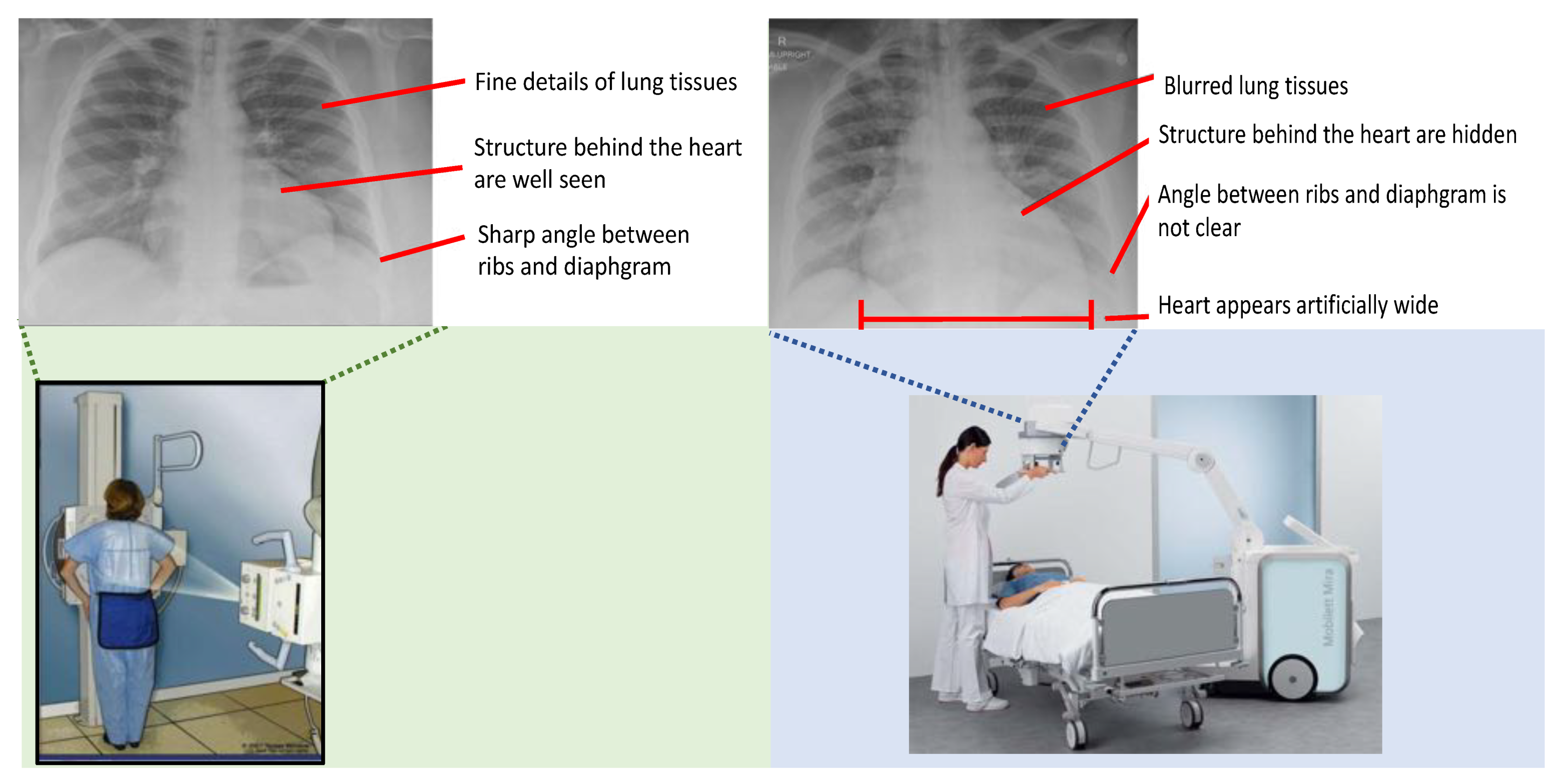 Diagnostics 11 01080 g001 Diagnostics 11 01080 g001