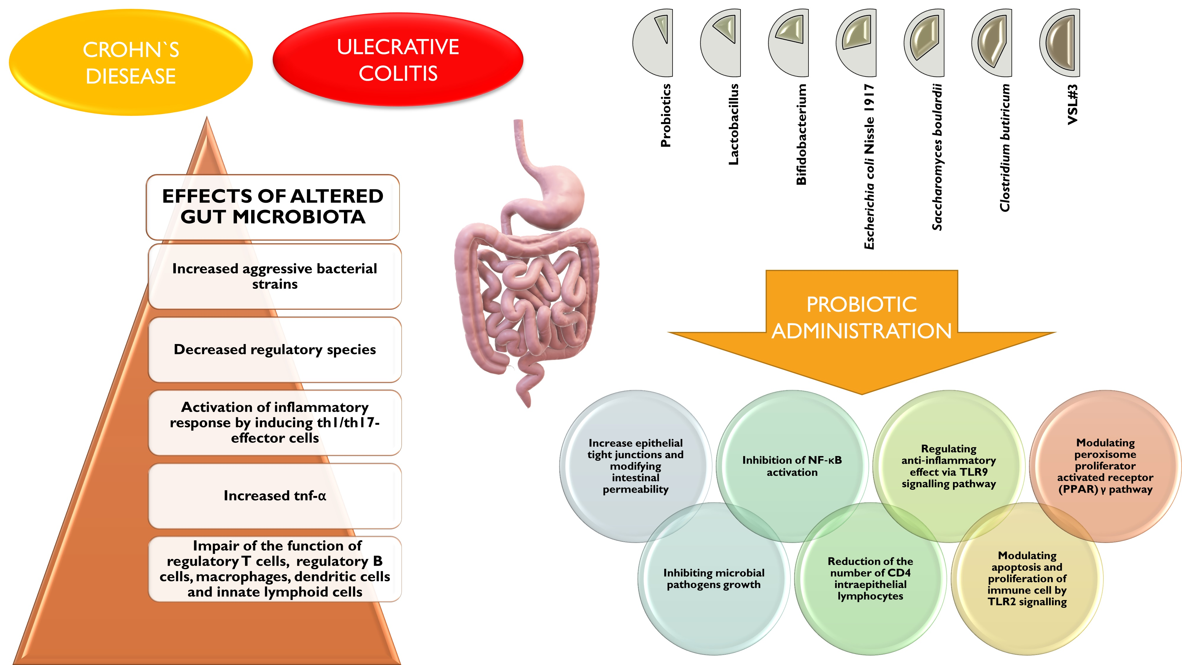 Diagnostics | Free Full-Text | Highlighting the Relevance of Gut Microbiota  Manipulation in Inflammatory Bowel Disease