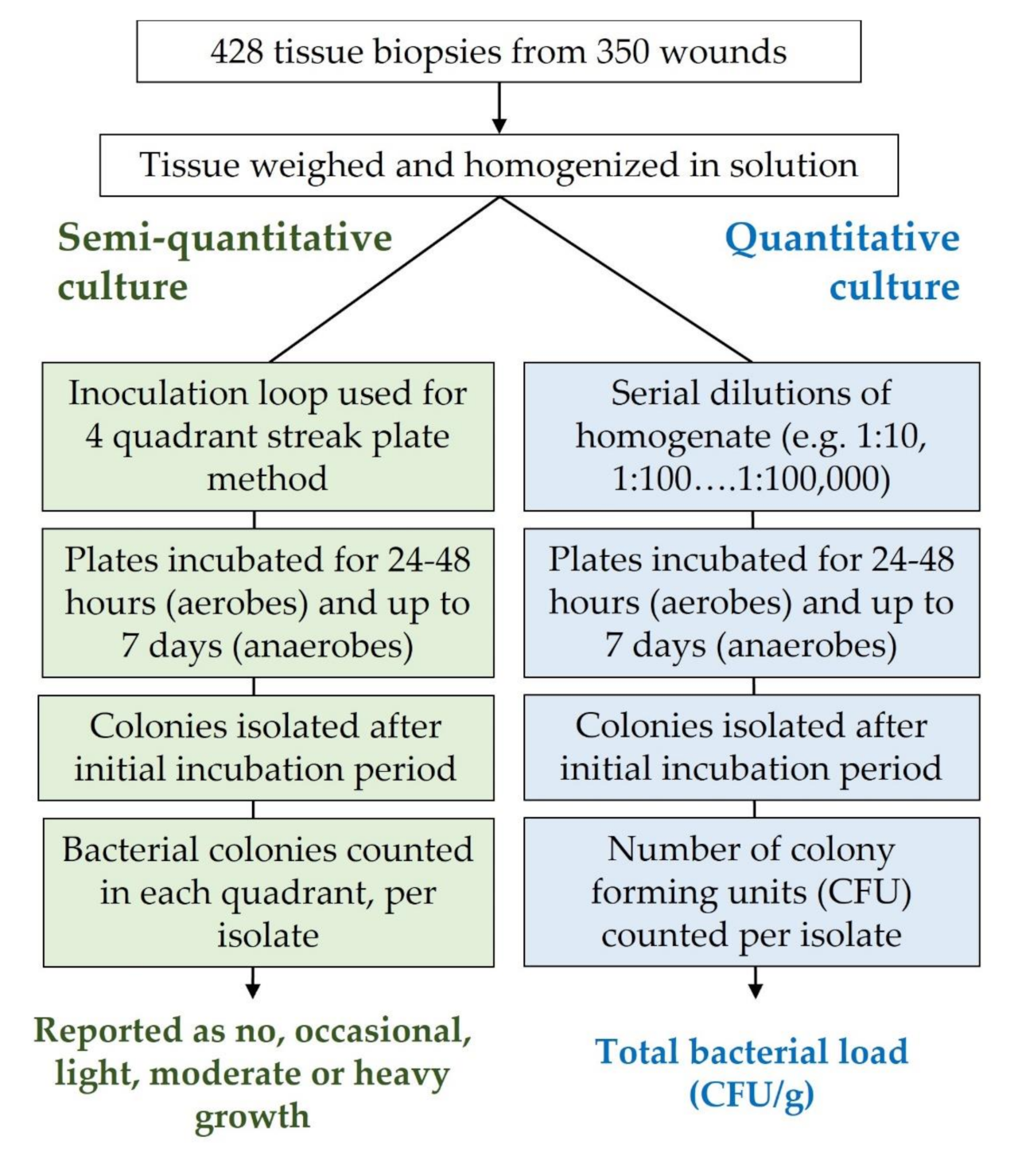 Diagnostics | Free Full-Text | Are Semi-Quantitative Clinical Cultures  Inadequate? Comparison to Quantitative Analysis of 1053 Bacterial Isolates  from 350 Wounds