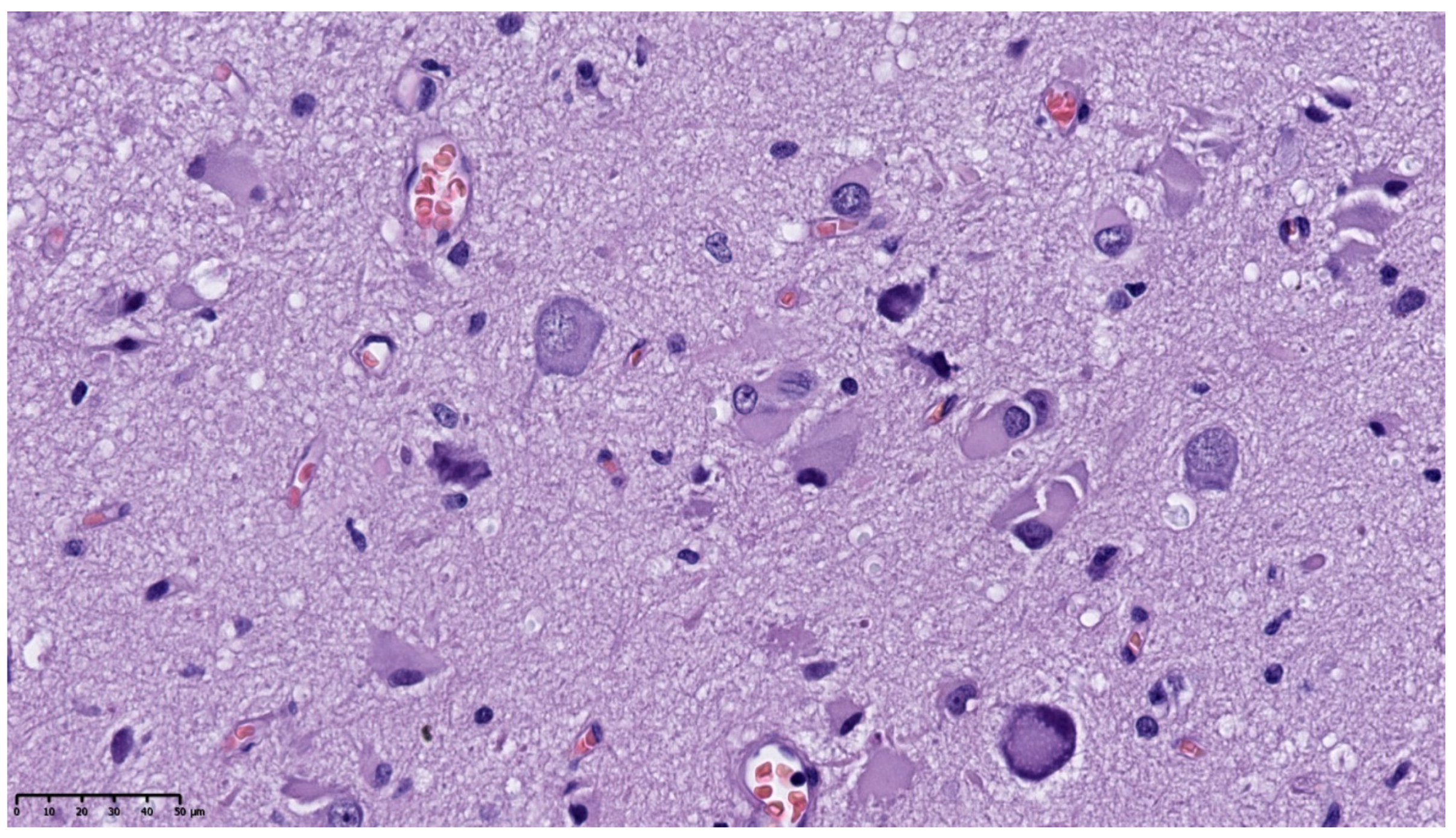 Diagnostics 11 01269 g004