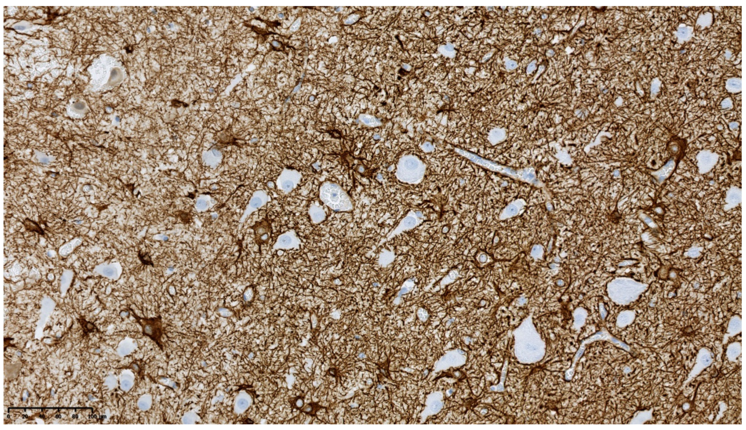 Diagnostics 11 01269 g006