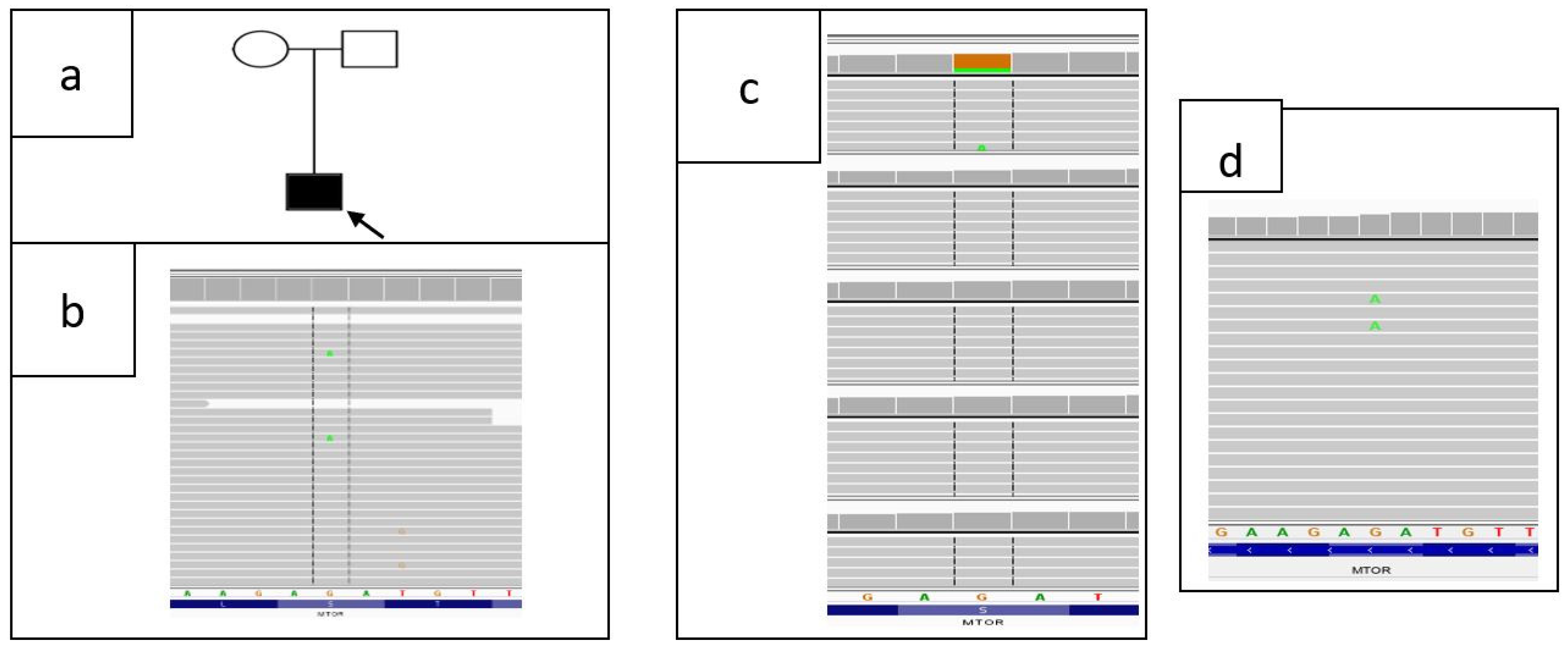 Diagnostics 11 01269 g008
