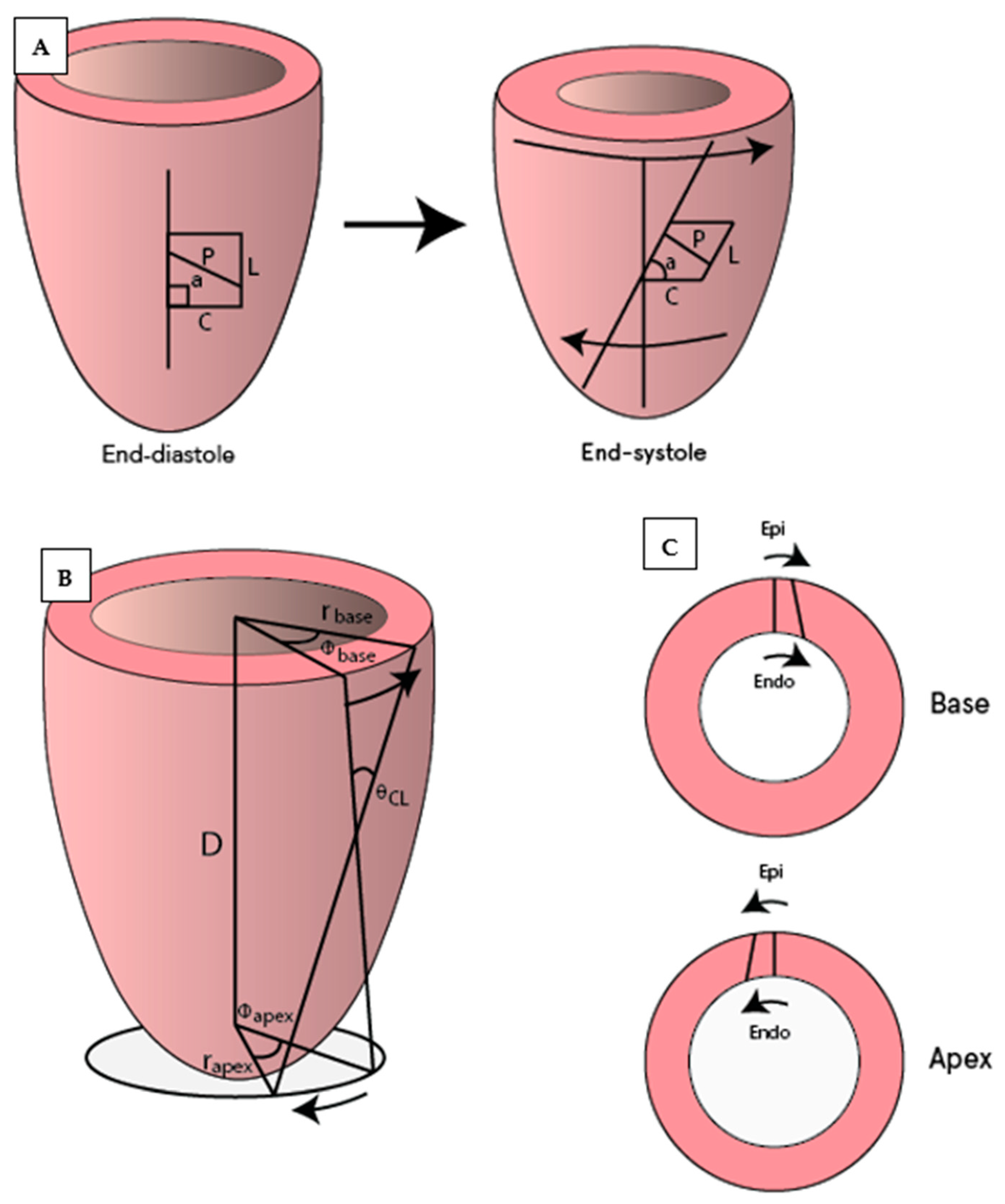 Diagnostics 11 01282 g003 Diagnostics 11 01282 g003