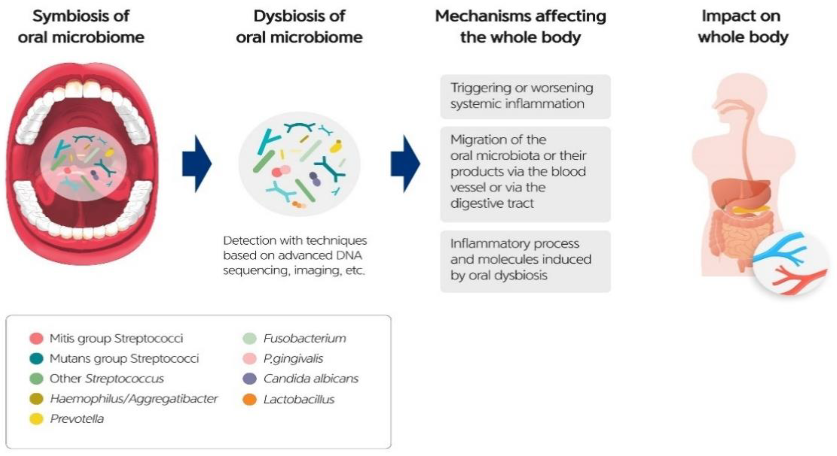 Diagnostics Free Full Text Progress In Oral Microbiome Related To