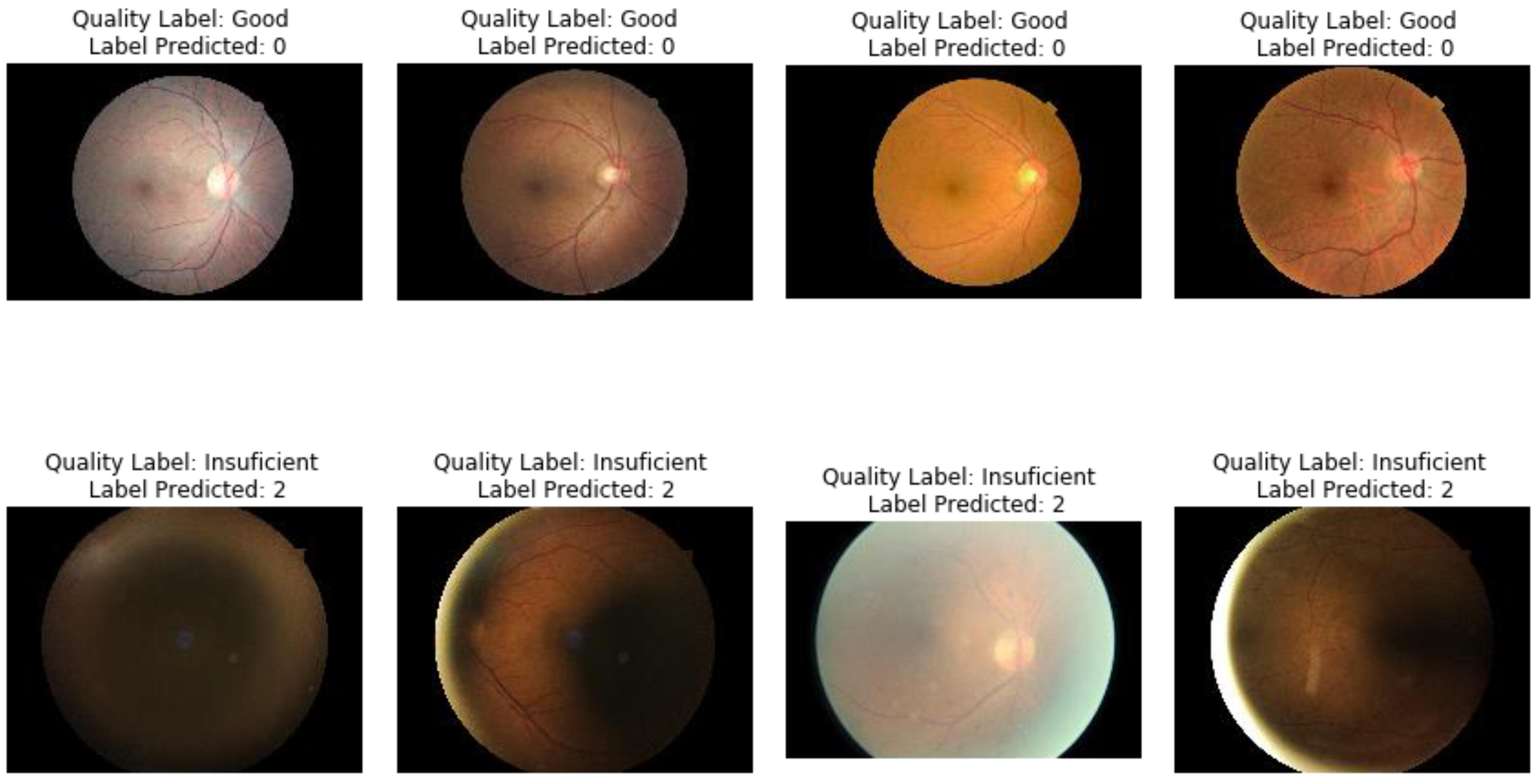 Diagnostics 11 01322 g013 Diagnostics 11 01322 g013