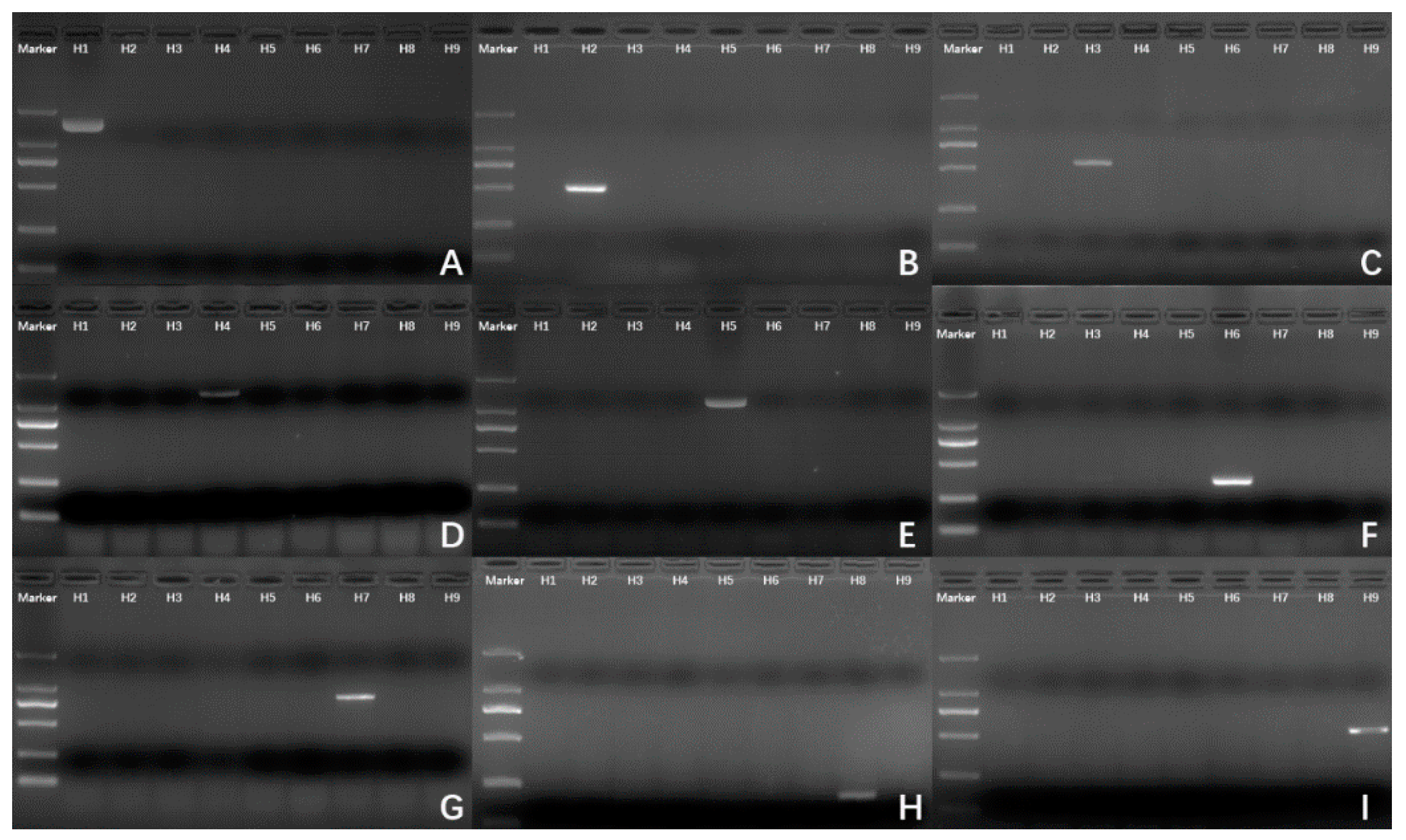 Diagnostics 11 01328 g004