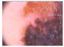 Diagnostics 11 01366 i433 Diagnostics 11 01366 i433