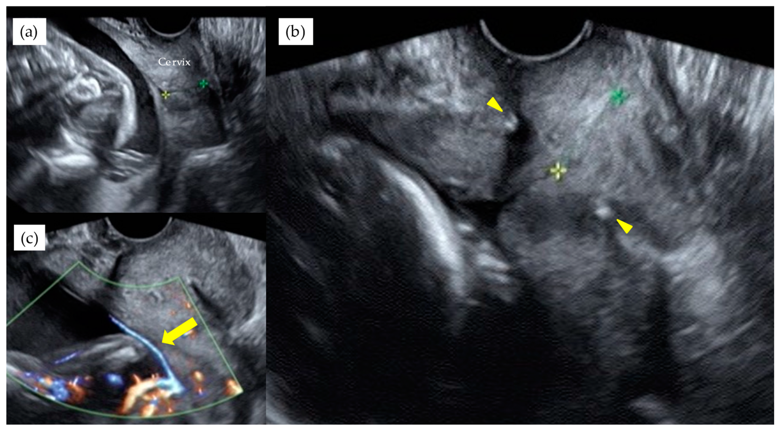 Diagnostics 11 01369 g003