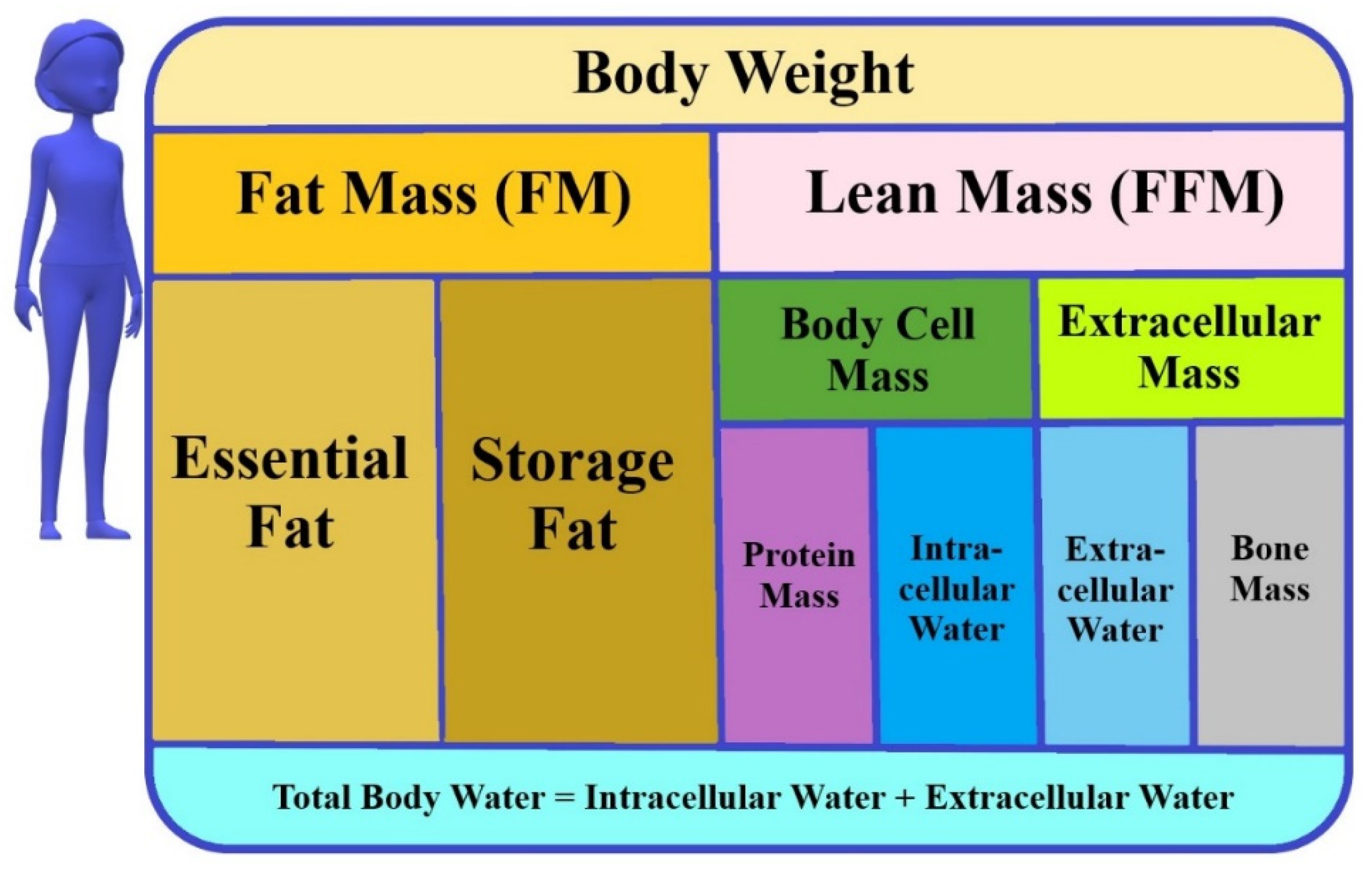 BIA body water analysis