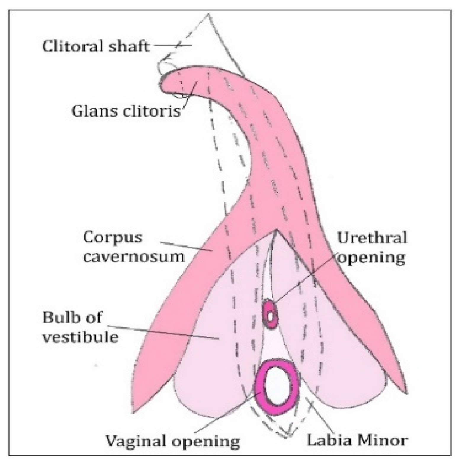 Diagnostics 11 01379 g004