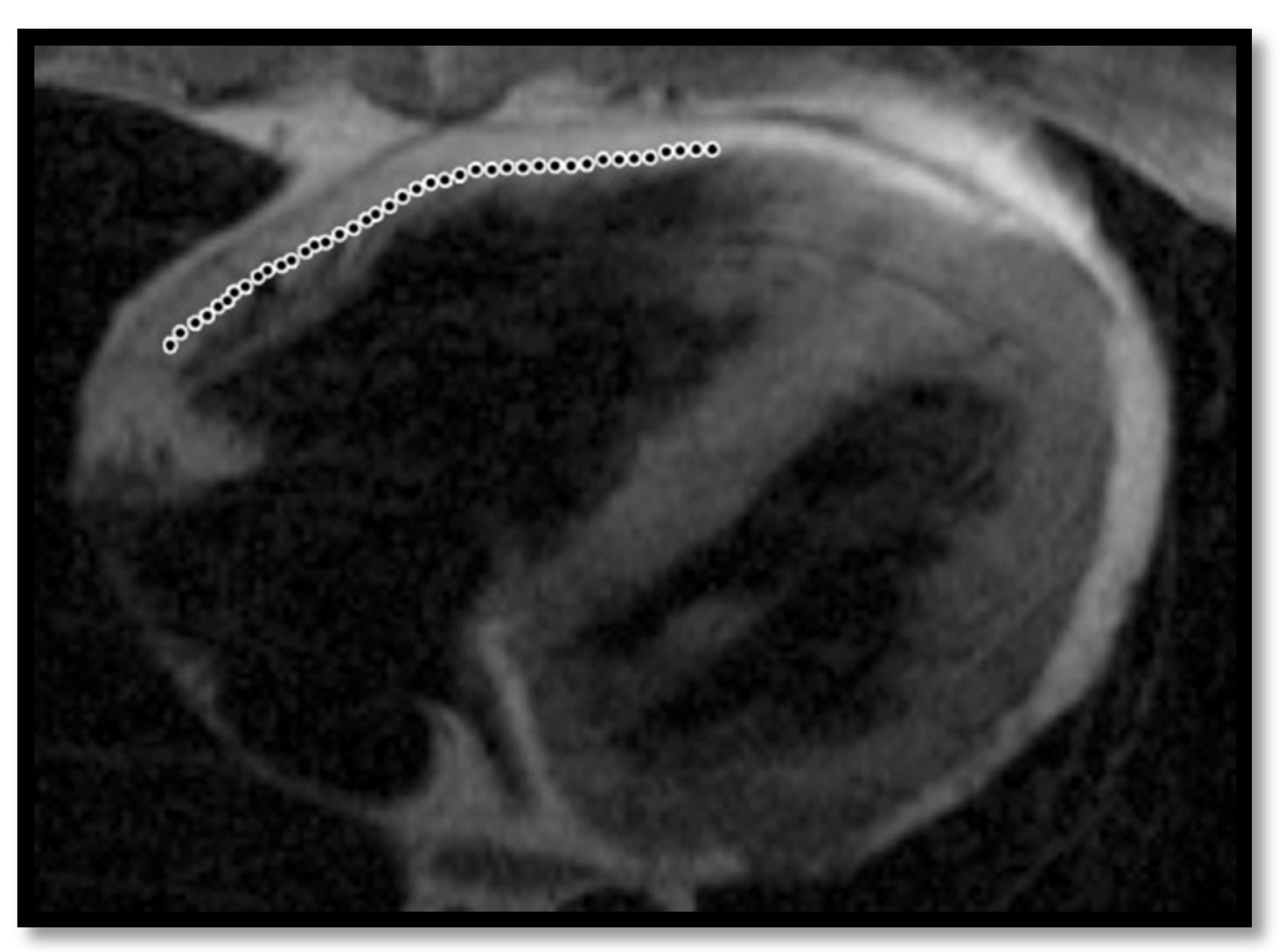 Diagnostics 11 01388 g005 Diagnostics 11 01388 g005