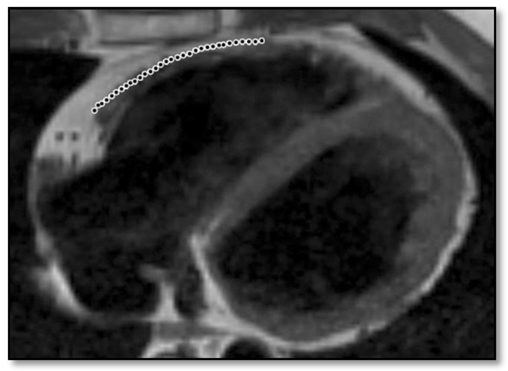 Diagnostics 11 01388 g006 Diagnostics 11 01388 g006