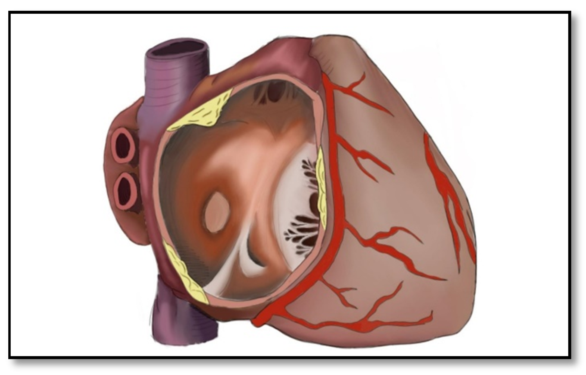 Diagnostics 11 01388 g008 Diagnostics 11 01388 g008