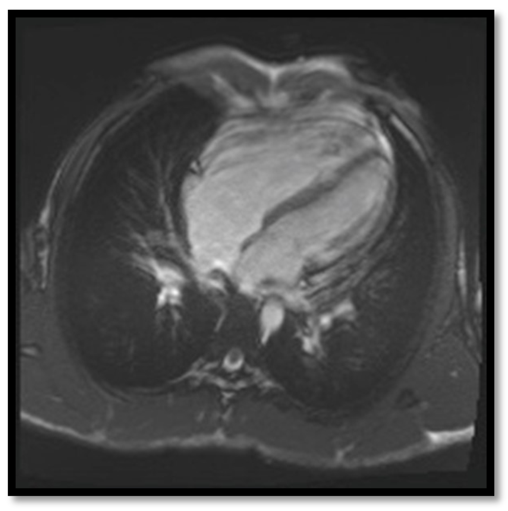 Diagnostics 11 01388 g009 Diagnostics 11 01388 g009