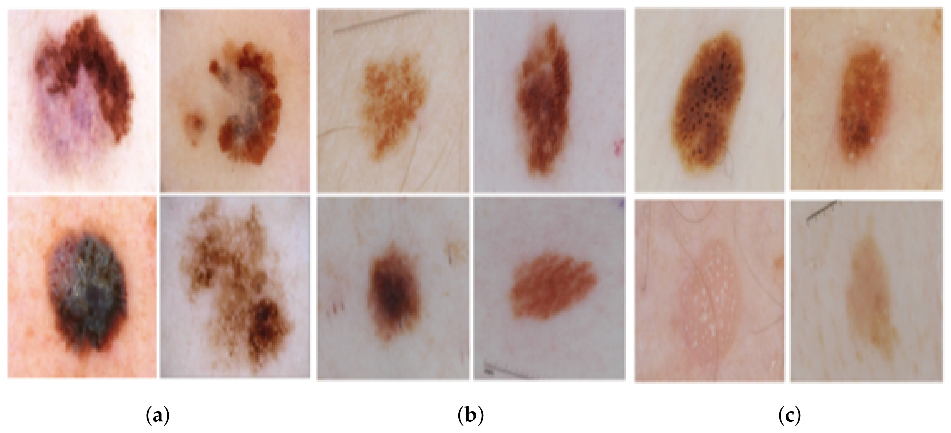 Diagnostics 11 01390 g004