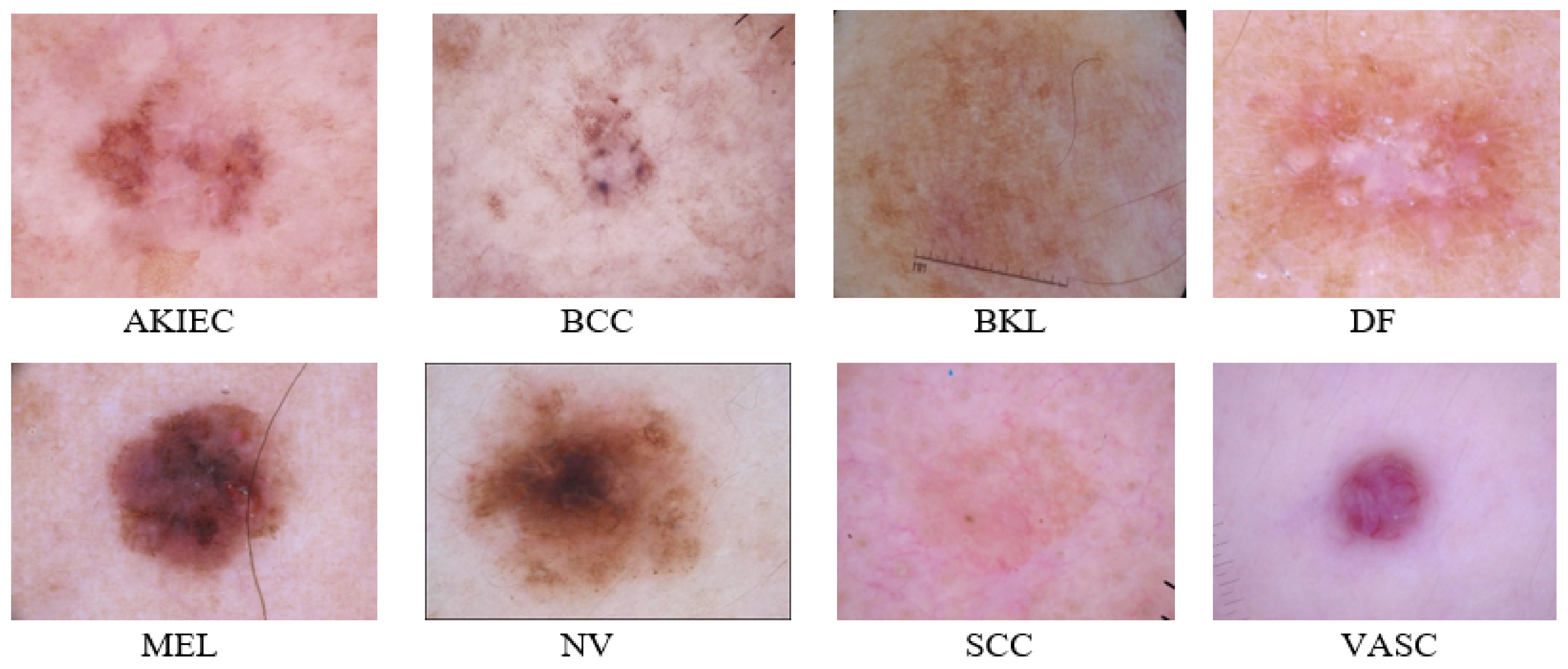 Diagnostics 11 01390 g005