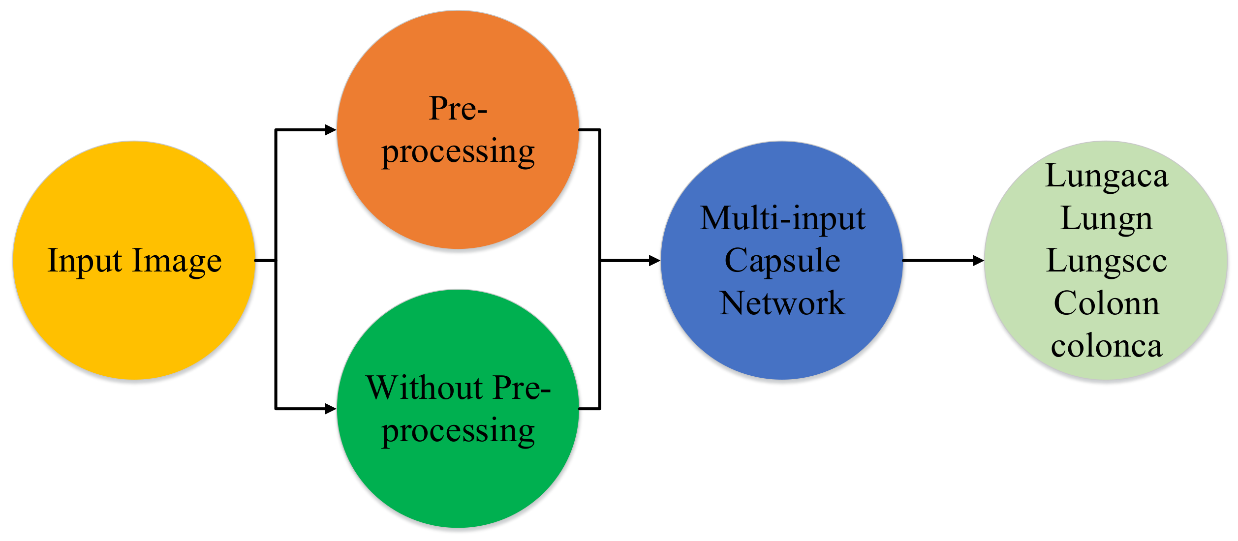 Diagnostics 11 01485 g001