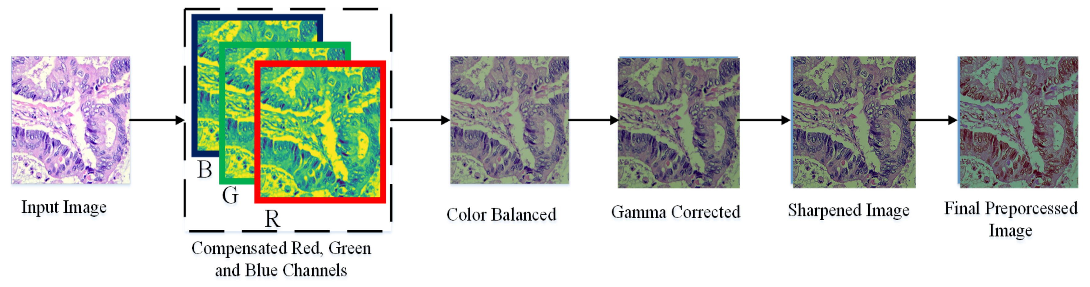 Diagnostics 11 01485 g004