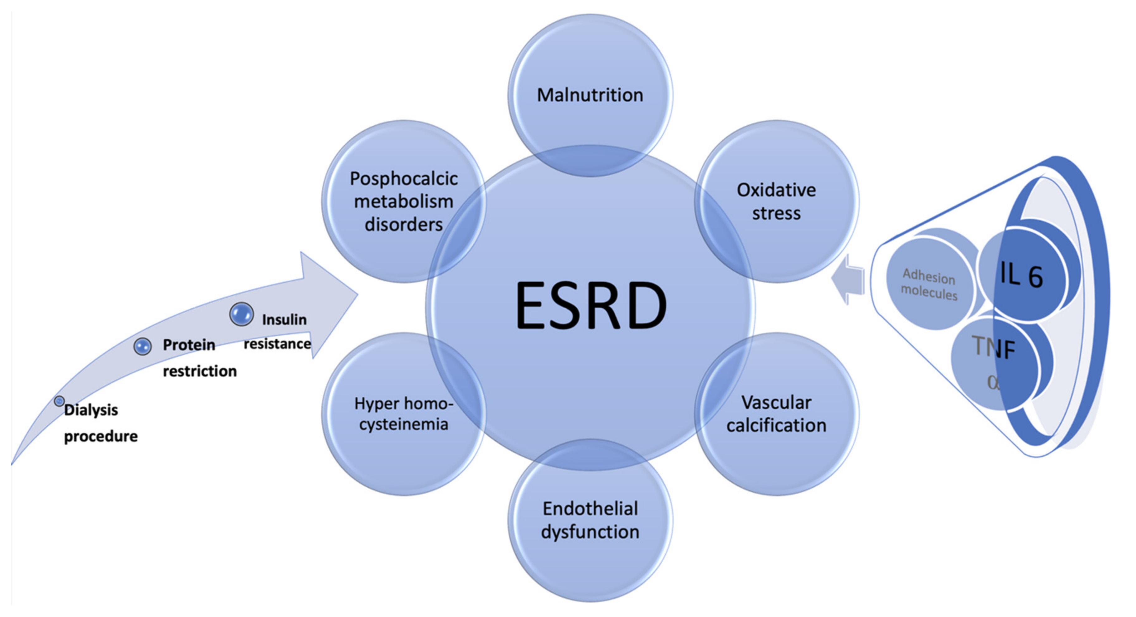 Diagnostics 11 01518 g004