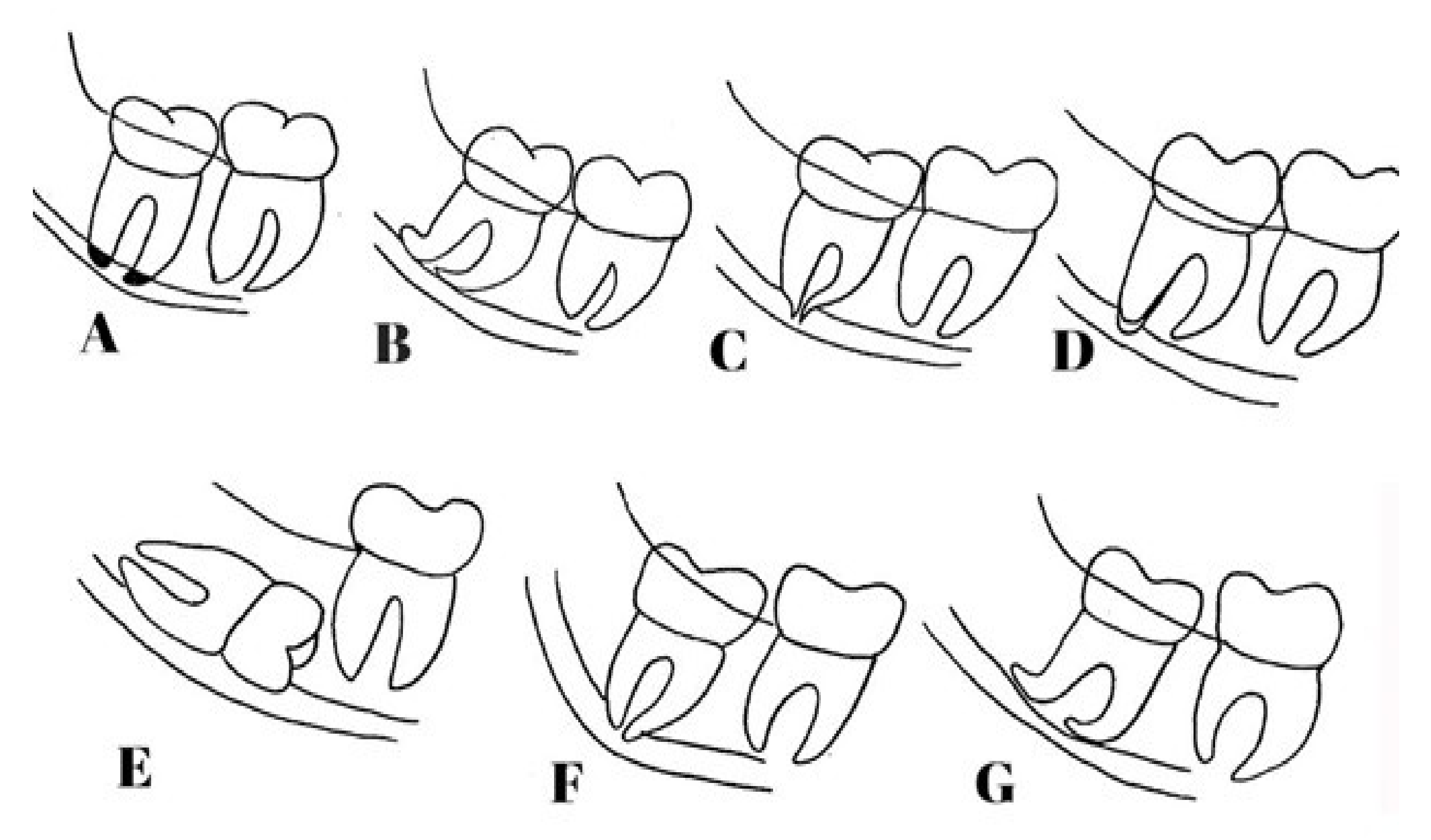 Diagnostics 11 01578 g001