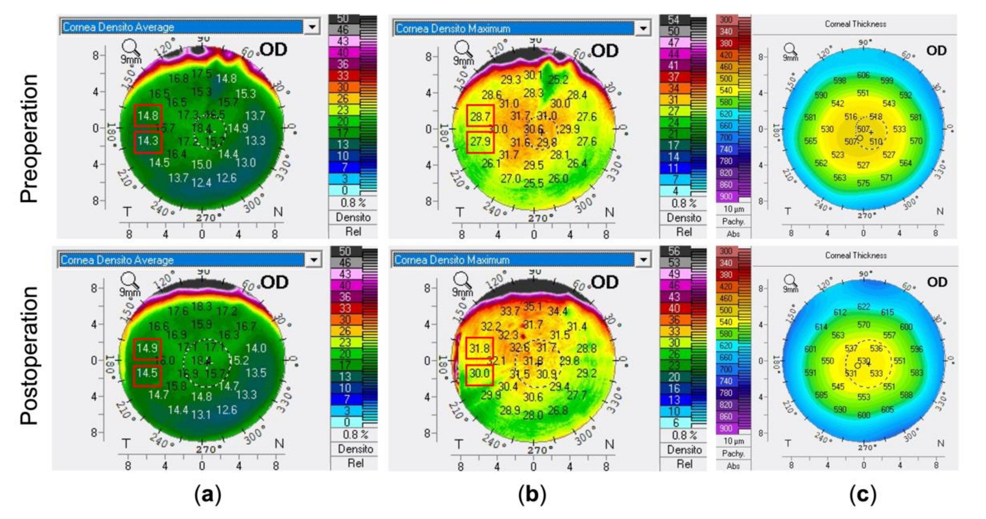 Diagnostics 11 01639 g001