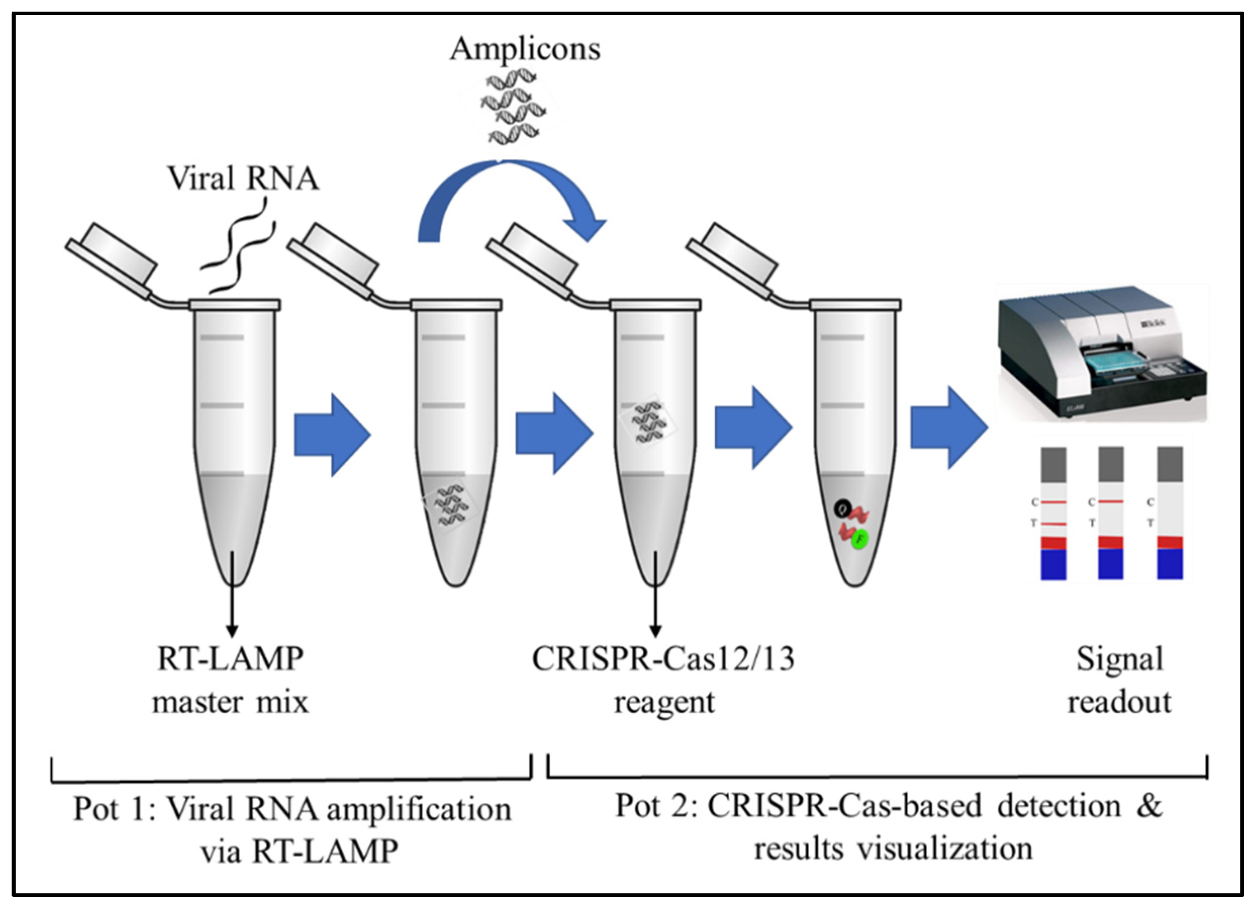 Diagnostics | Free Full-Text | RT-LAMP CRISPR-Cas12/13-Based SARS-CoV-2  Detection Methods