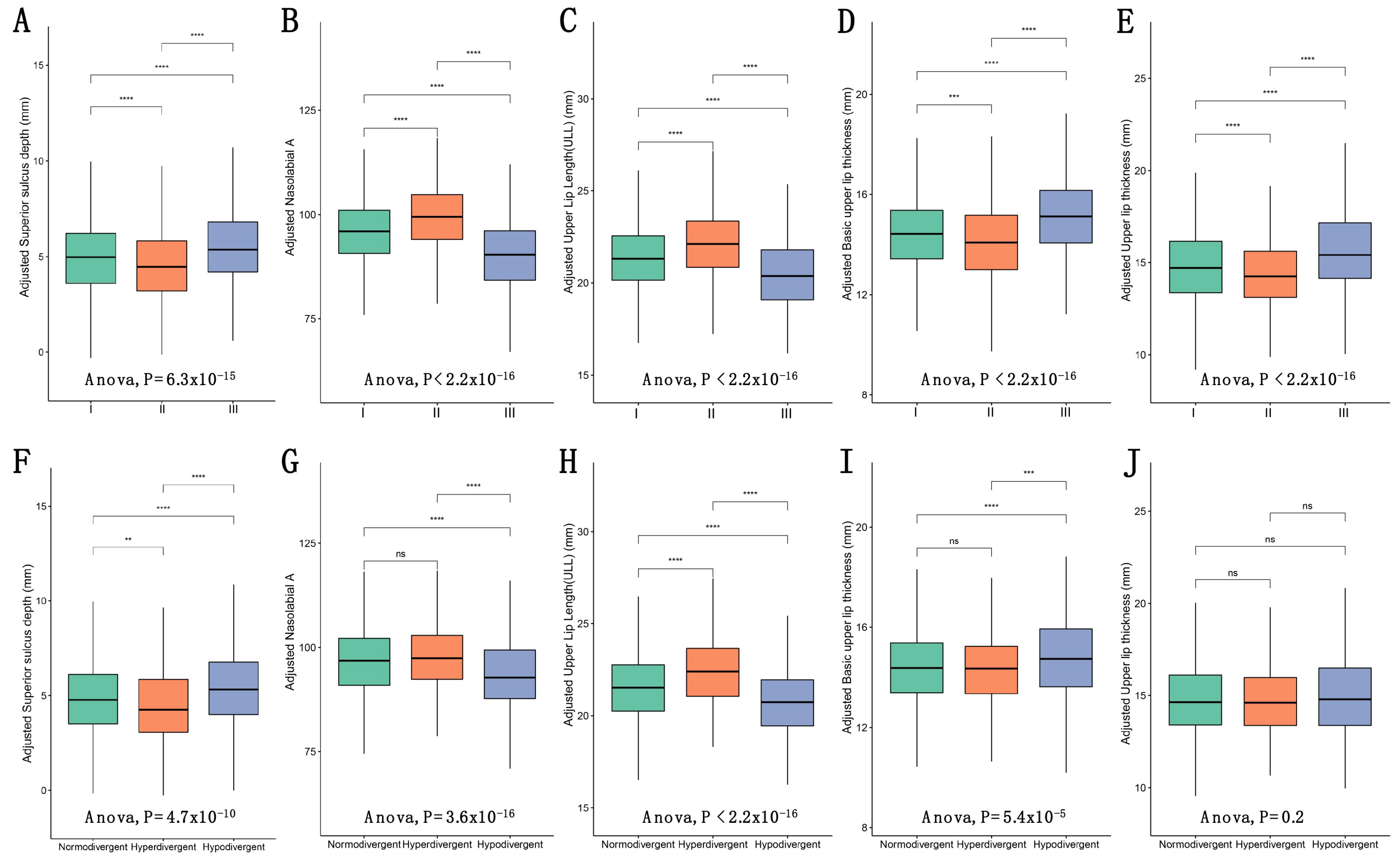 Diagnostics 11 01713 g004