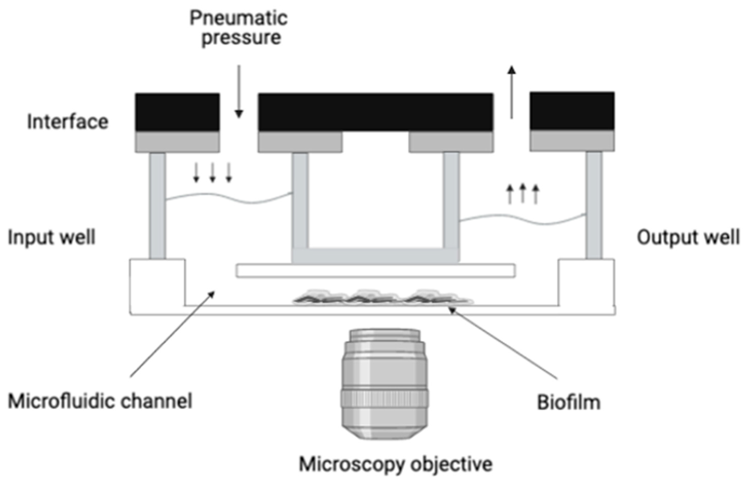 Diagnostics 11 01746 g001