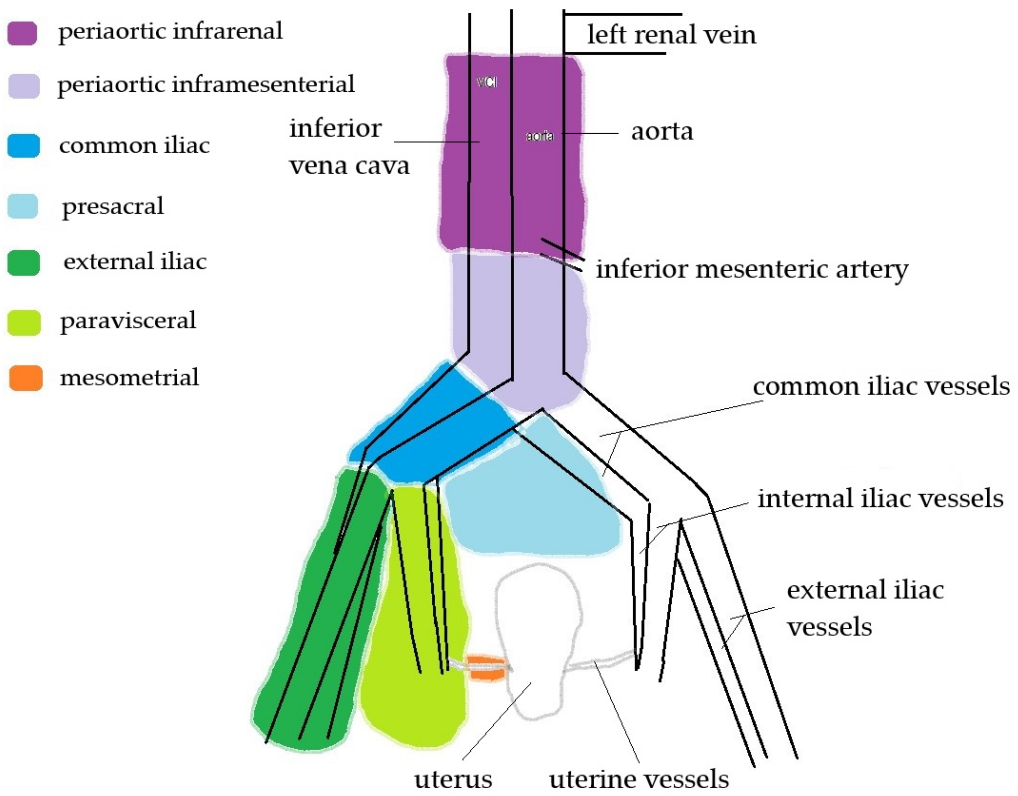 Diagnostics, Free Full-Text