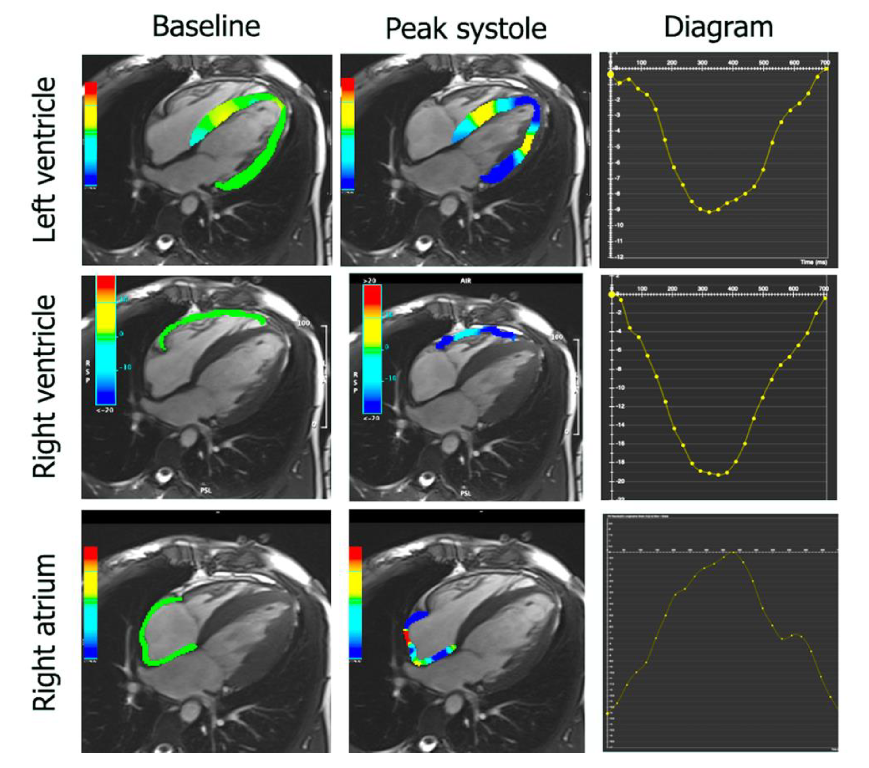 Diagnostics 11 01752 g002 Diagnostics 11 01752 g002