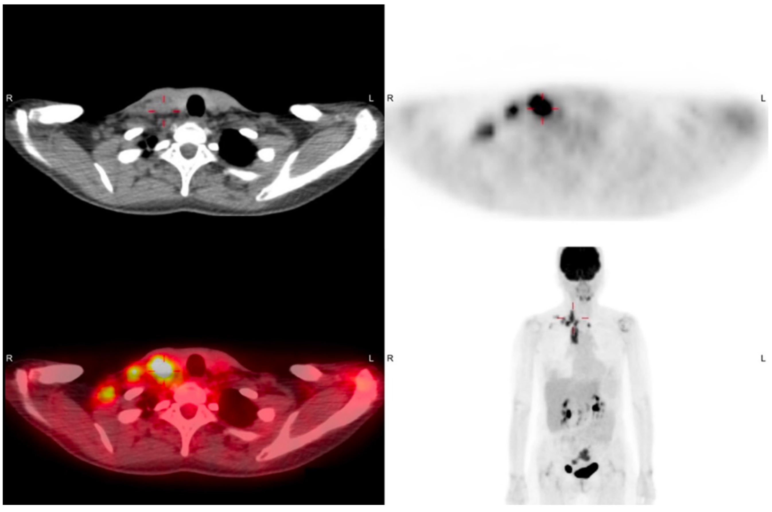 Diagnostics 11 01804 g002