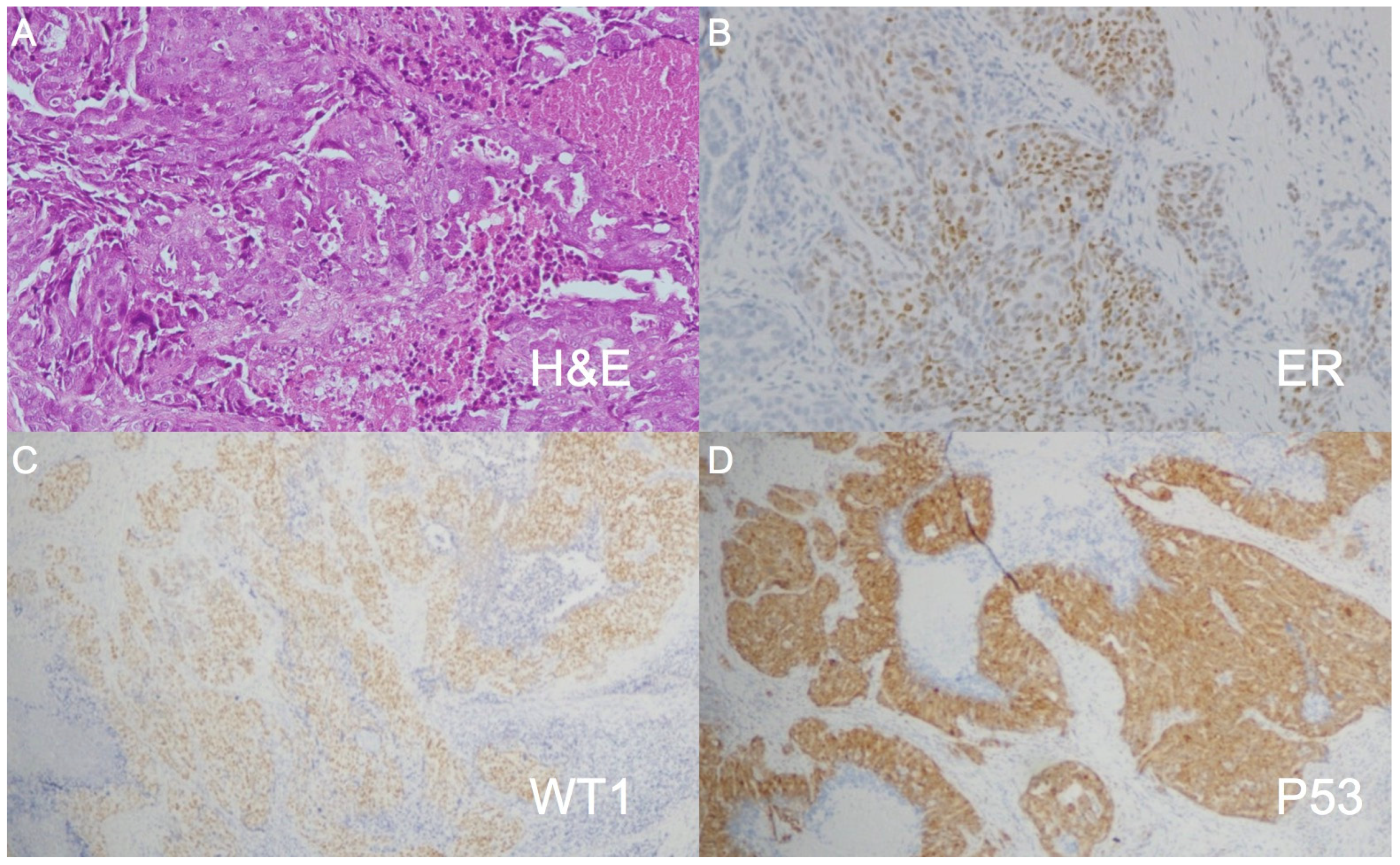 Diagnostics 11 01804 g004