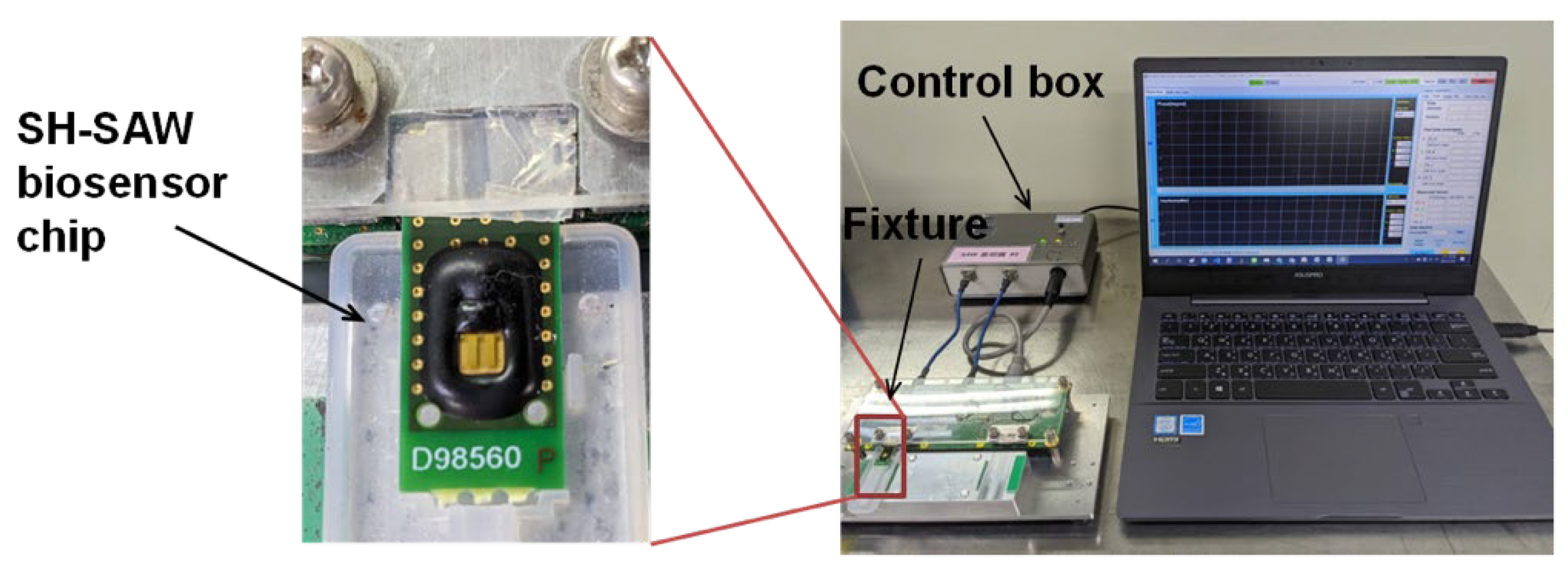 Diagnostics 11 01838 g002