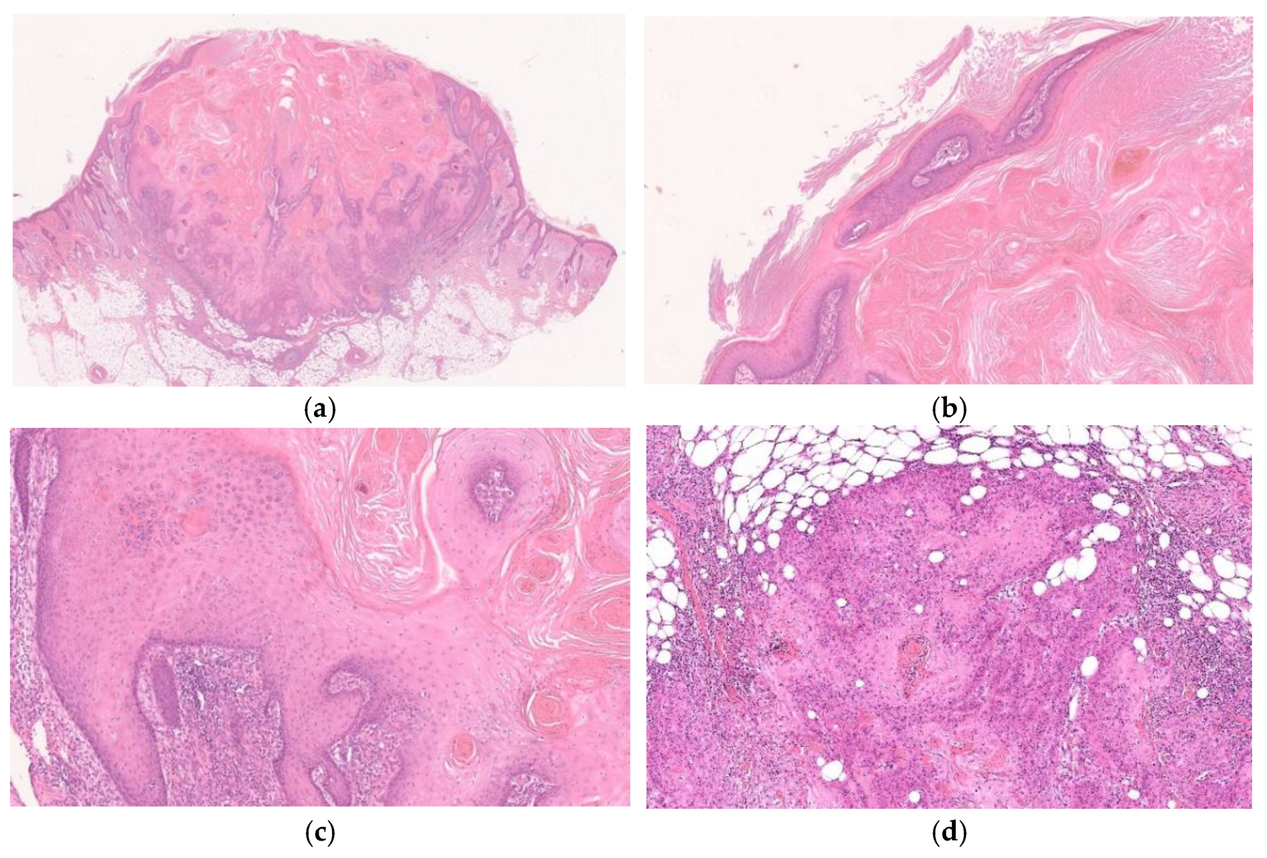 Diagnostics 11 01848 g006
