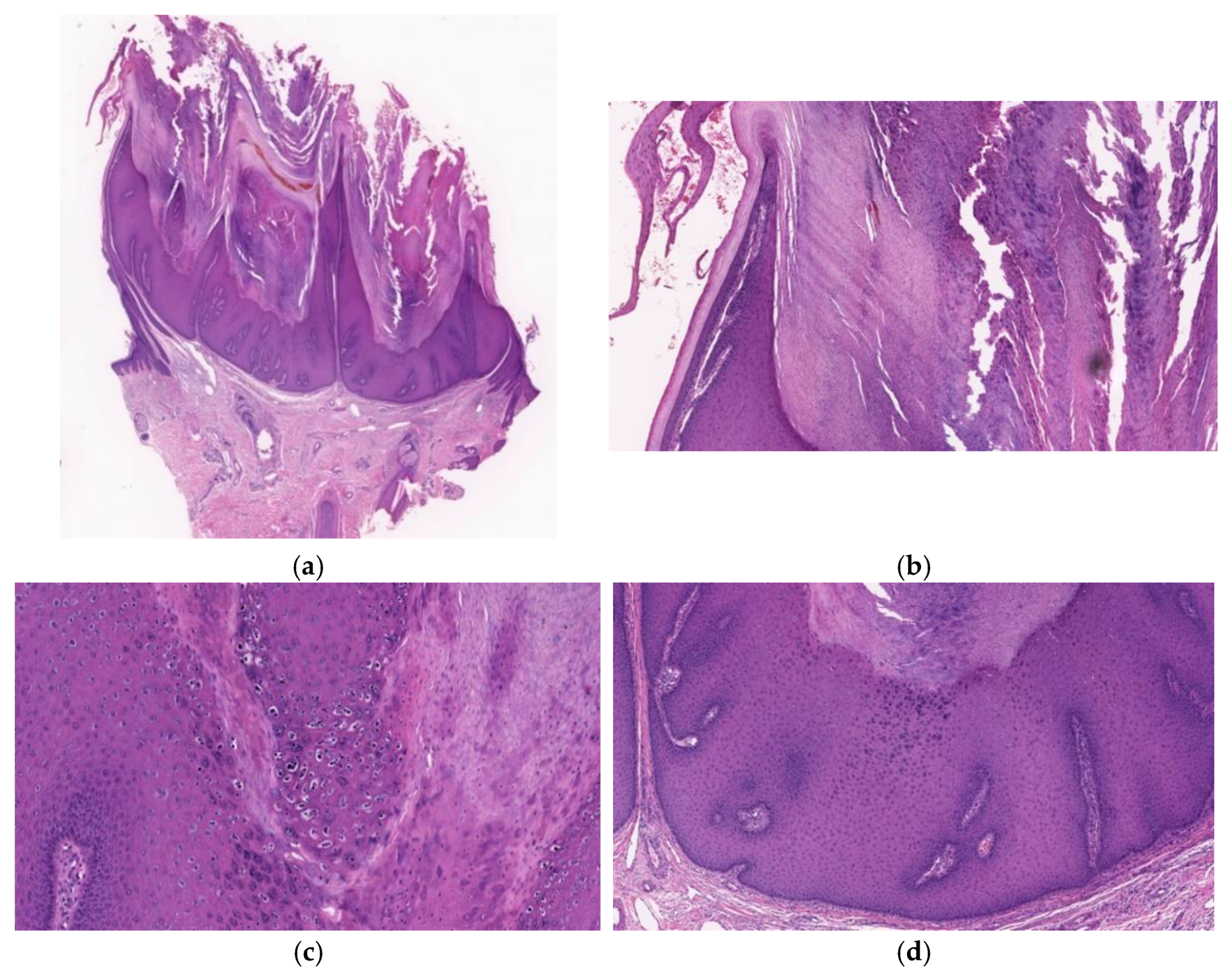 Diagnostics 11 01848 g008
