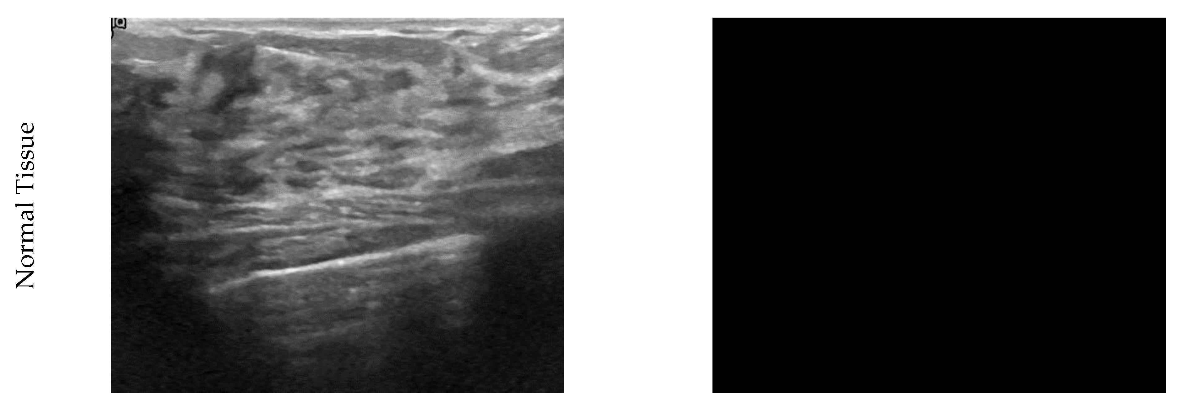 Diagnostics 11 01870 g001b