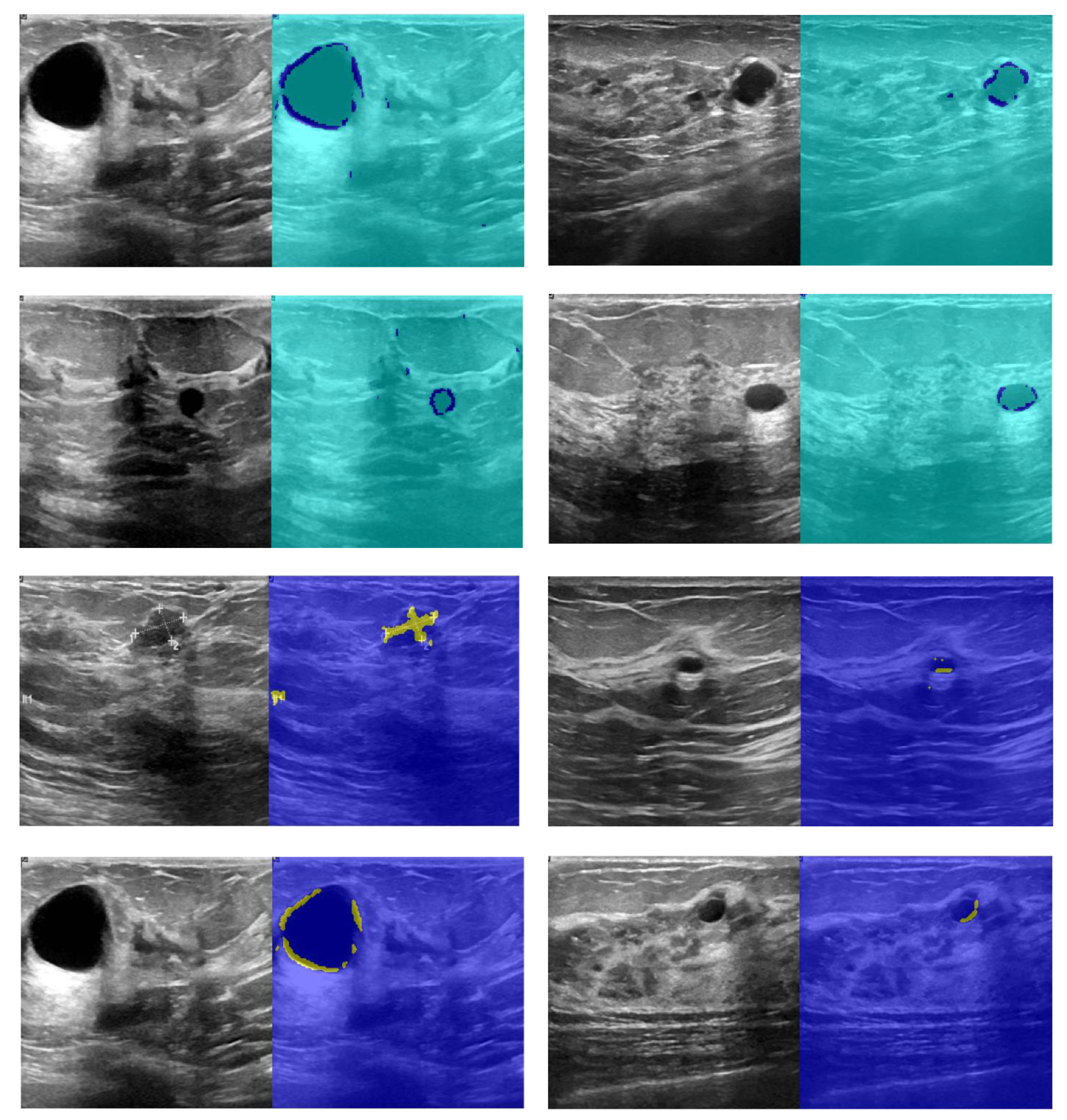 Diagnostics 11 01870 g010