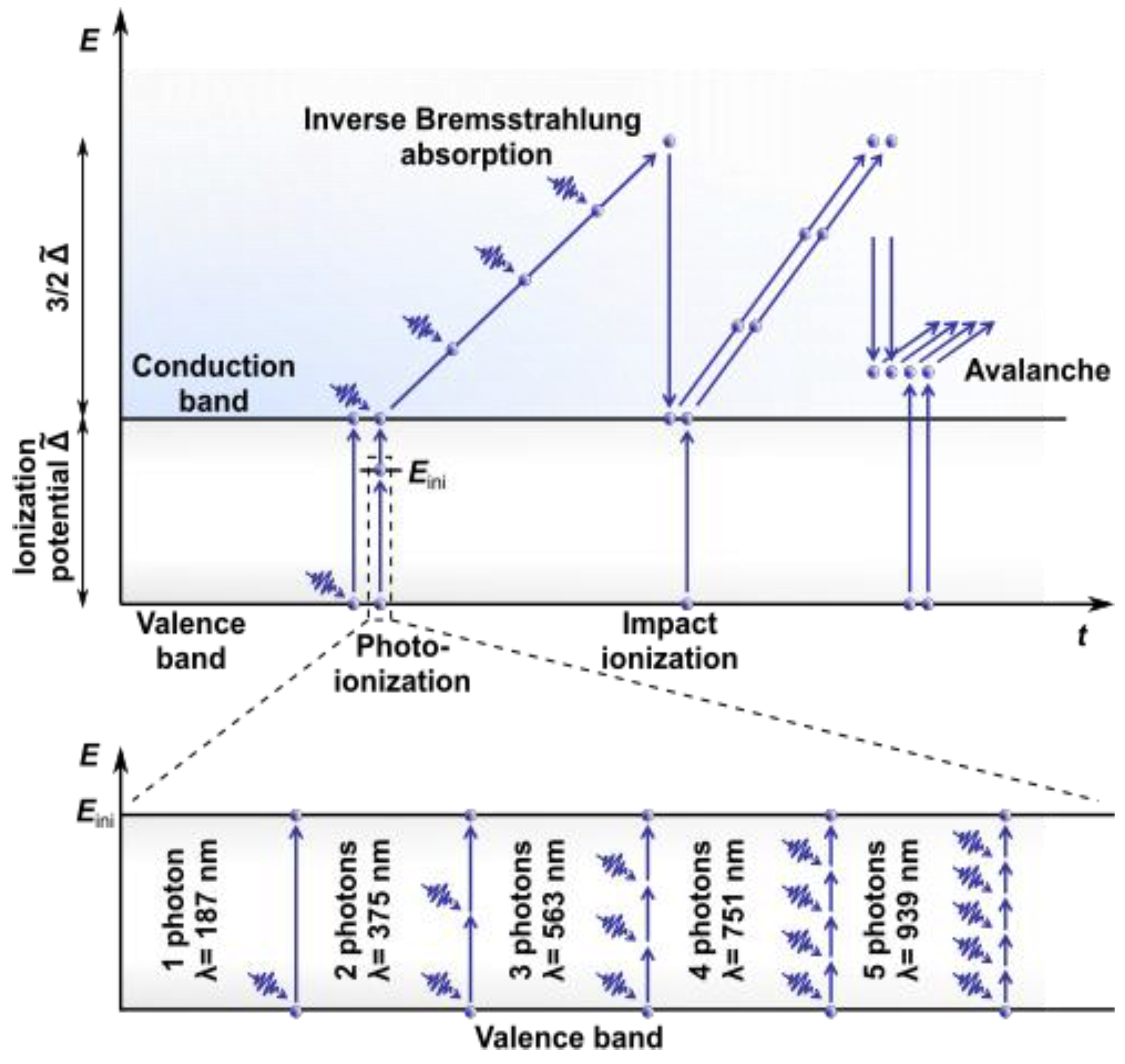 Diagnostics 11 01897 g001
