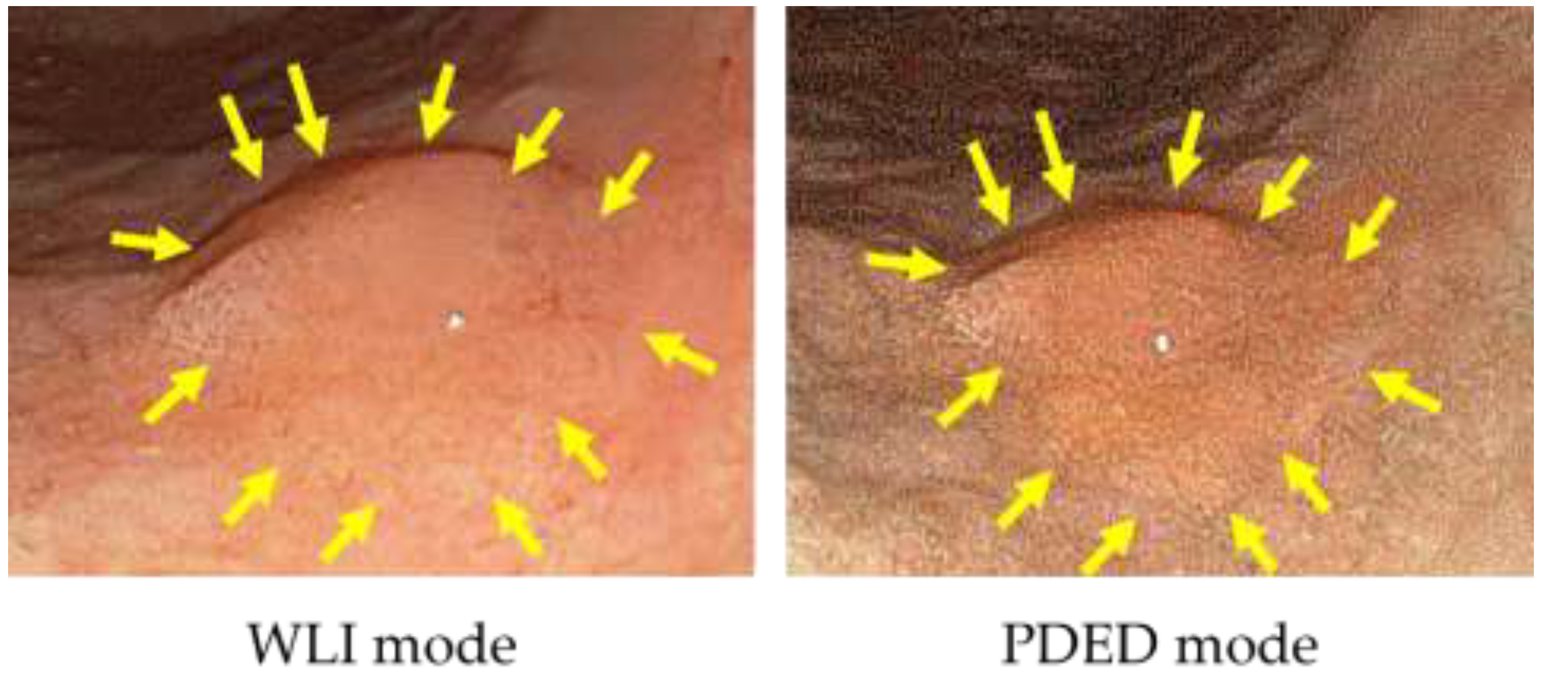 Diagnostics 11 01967 g003