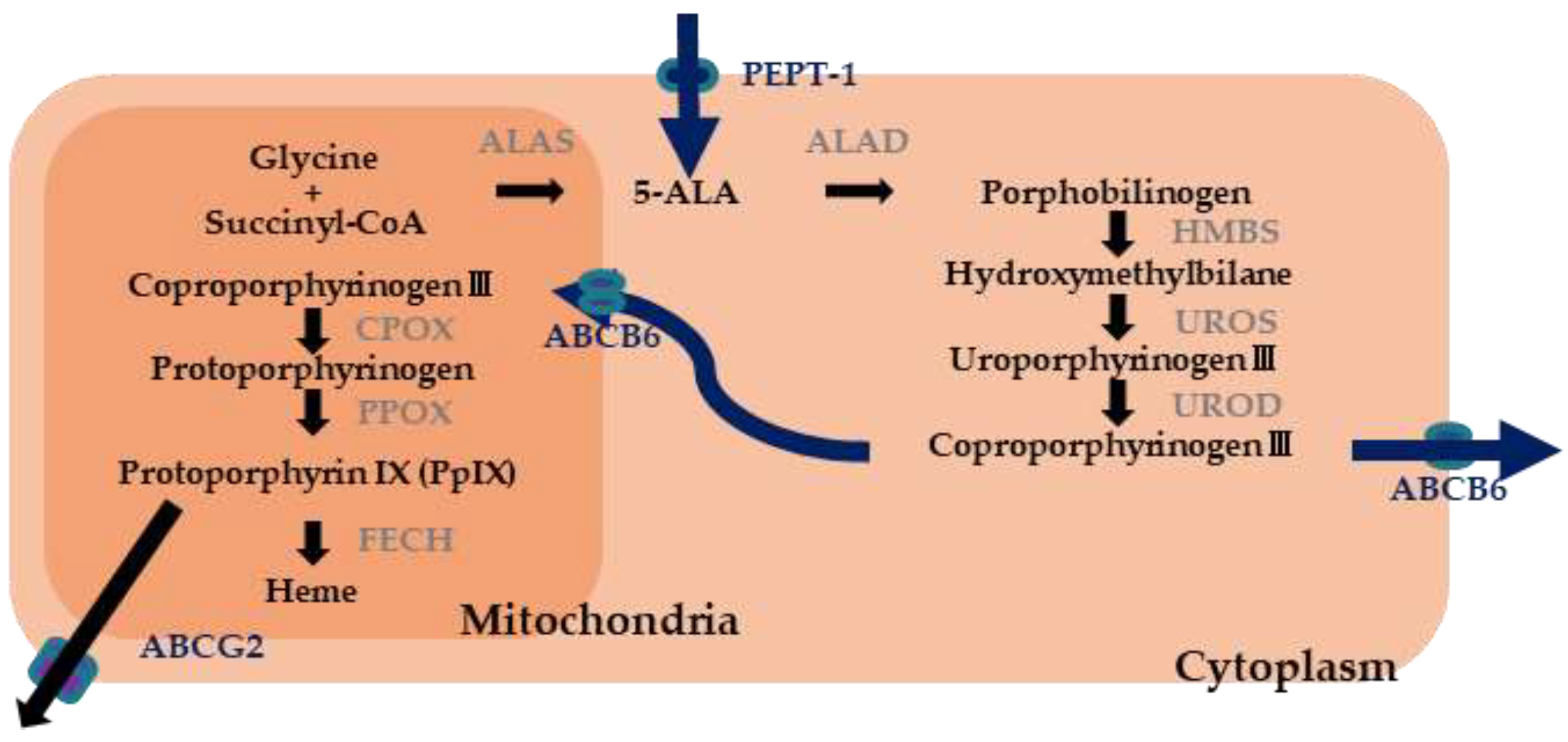 Diagnostics 11 01967 g004