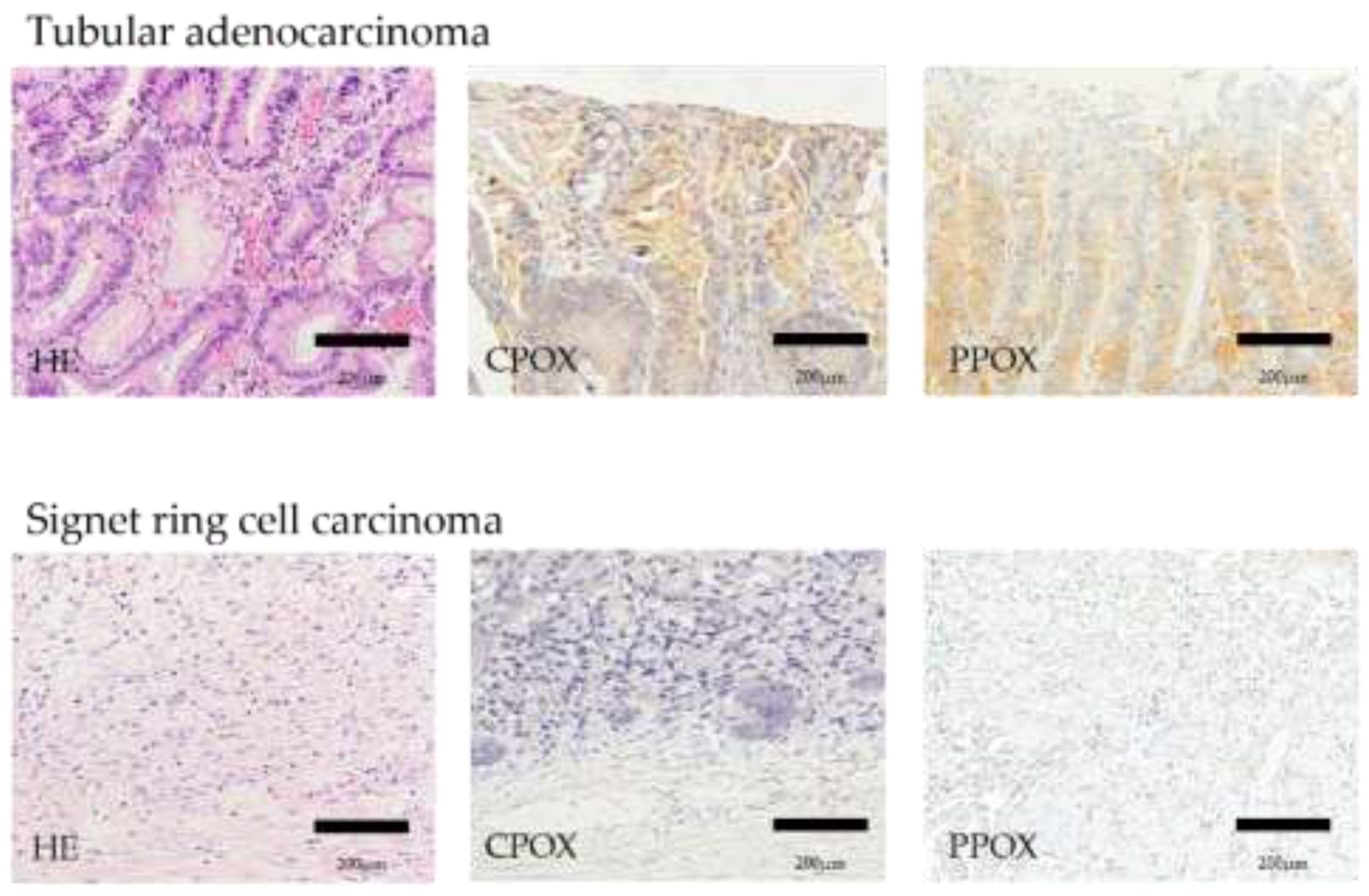 Diagnostics 11 01967 g005