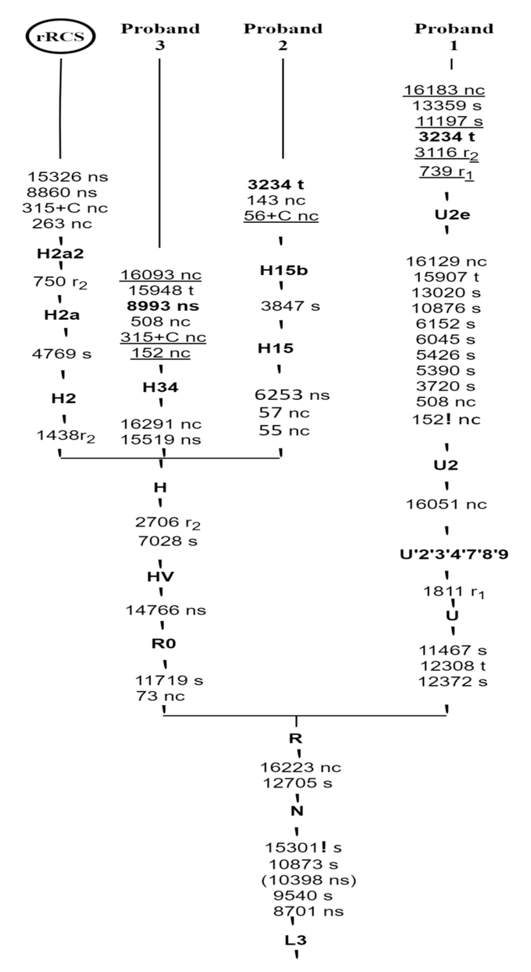 Diagnostics 11 01969 g002 Diagnostics 11 01969 g002