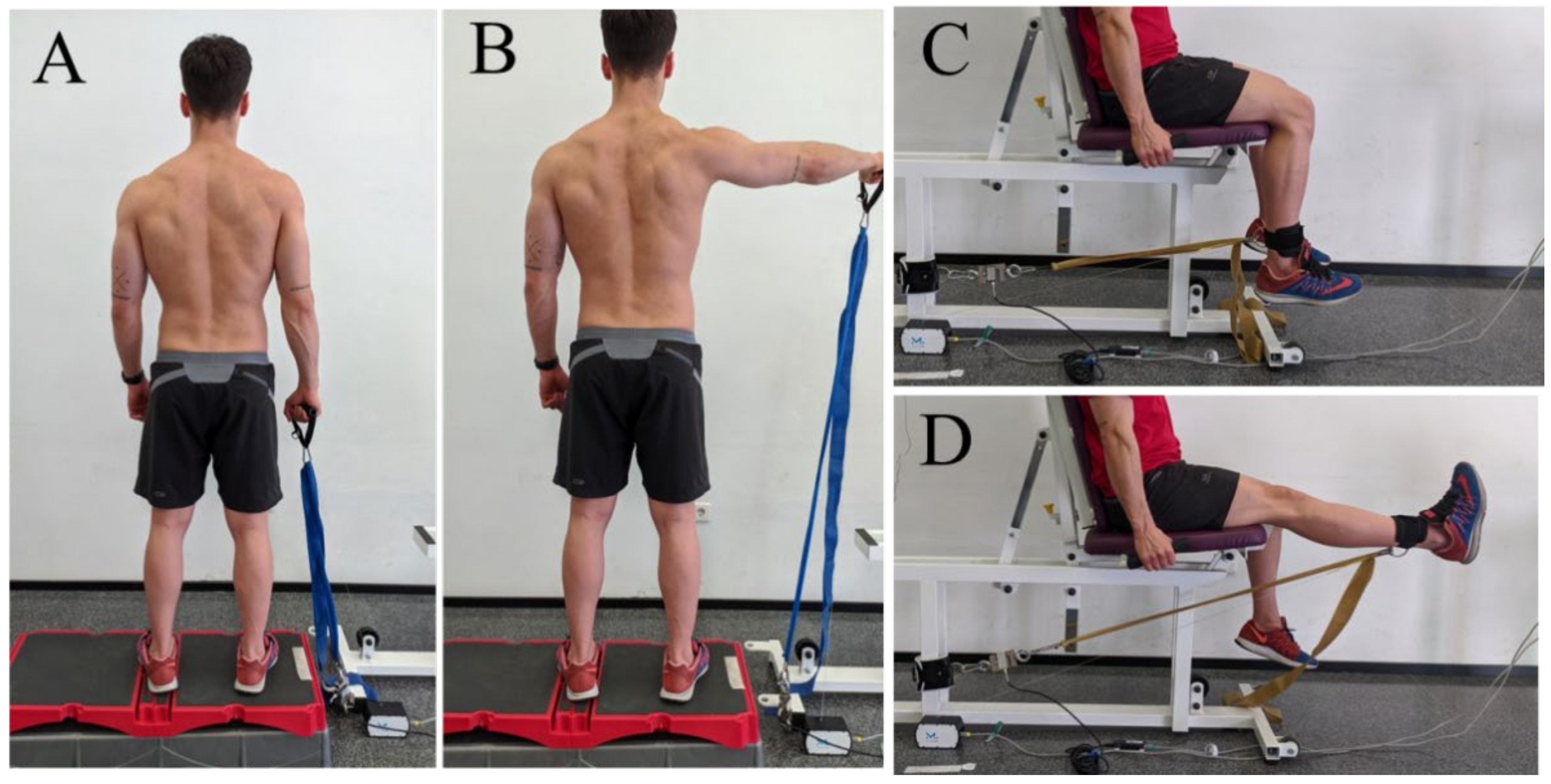 Diagnostics | Free Full-Text | Analysis of Compliance with Time under  Tension and Force during Strengthening Exercises with Elastic Bands