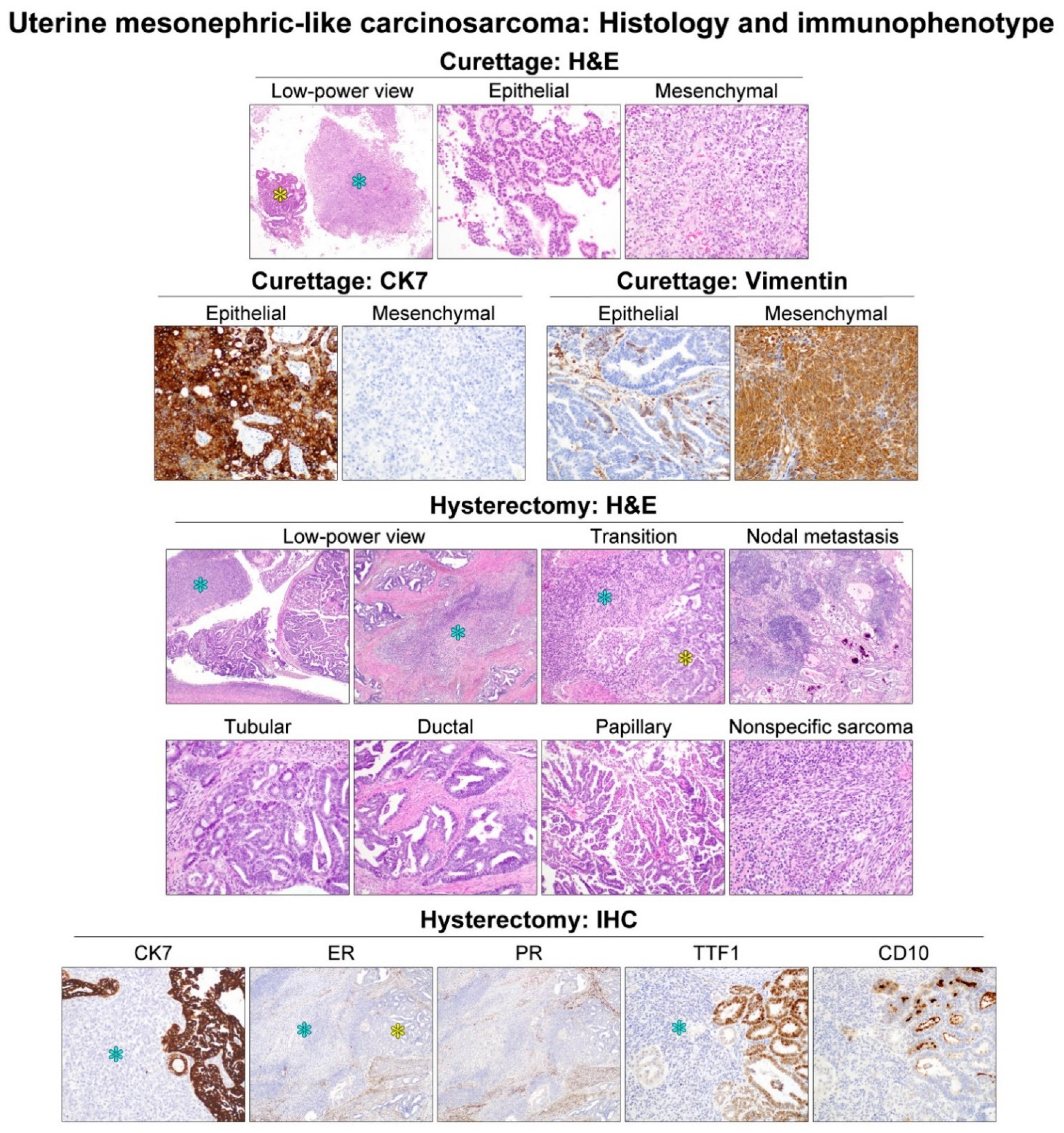 Diagnostics 11 02042 g002