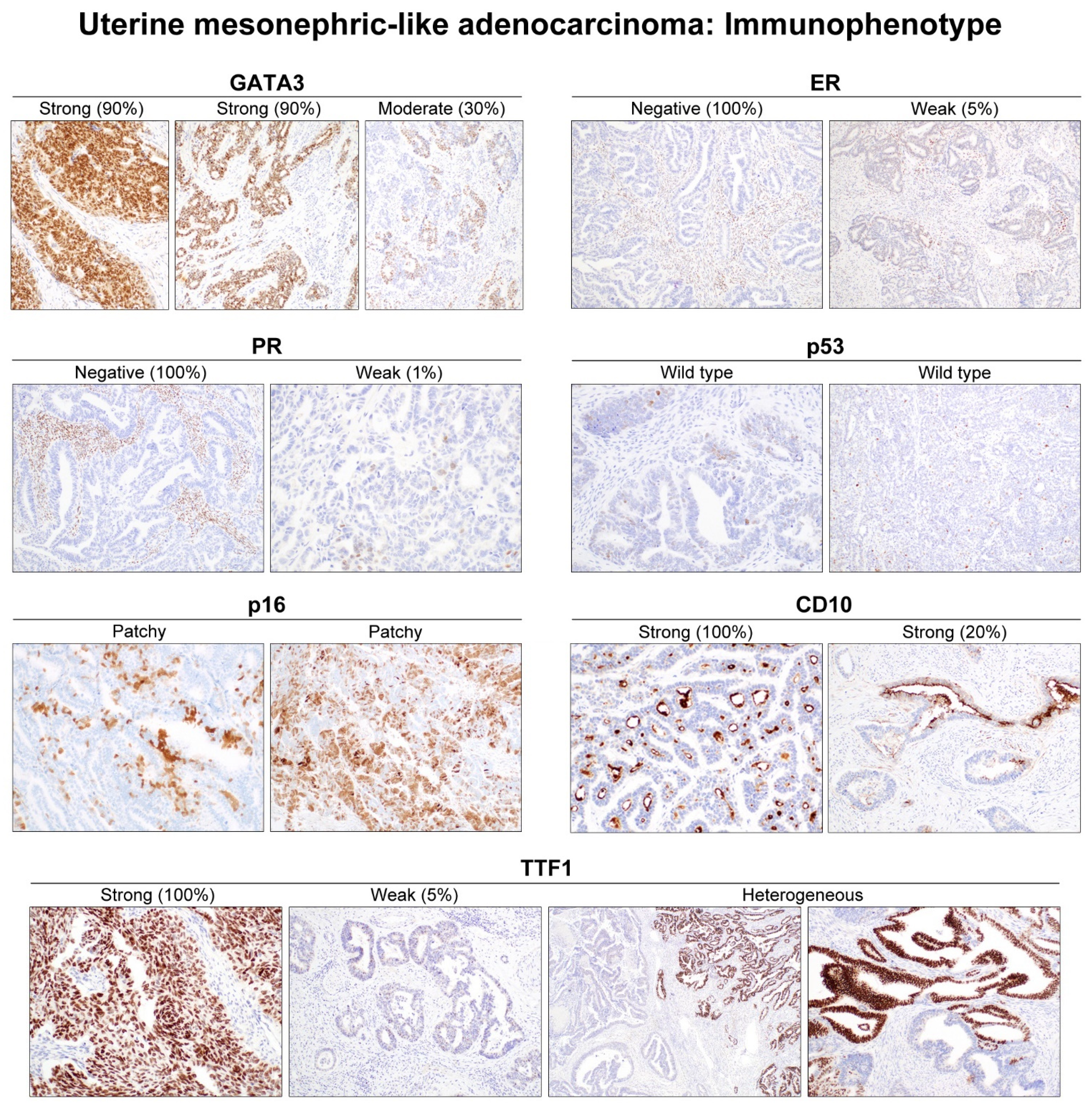 Diagnostics 11 02042 g003