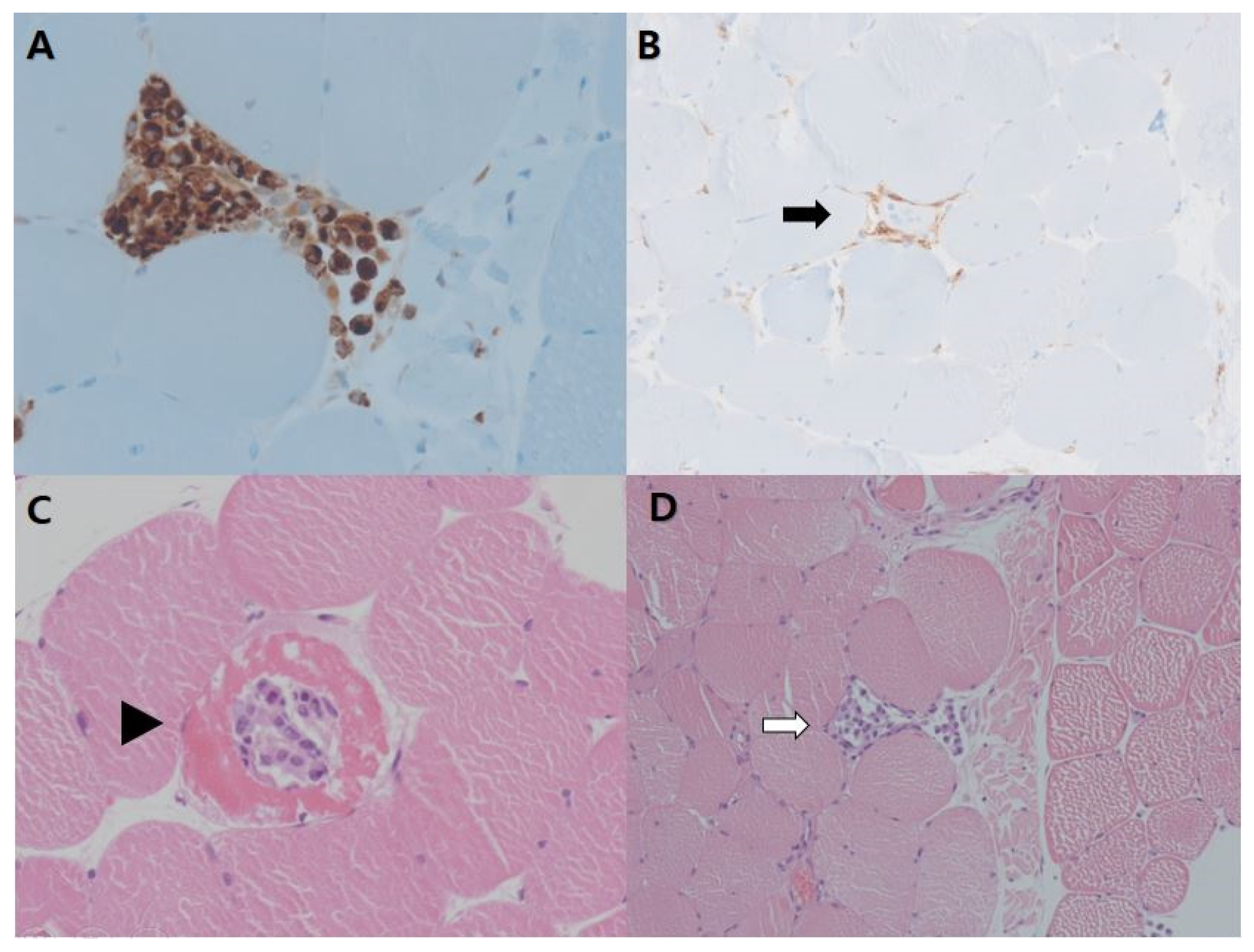 Diagnostics 11 02064 g003