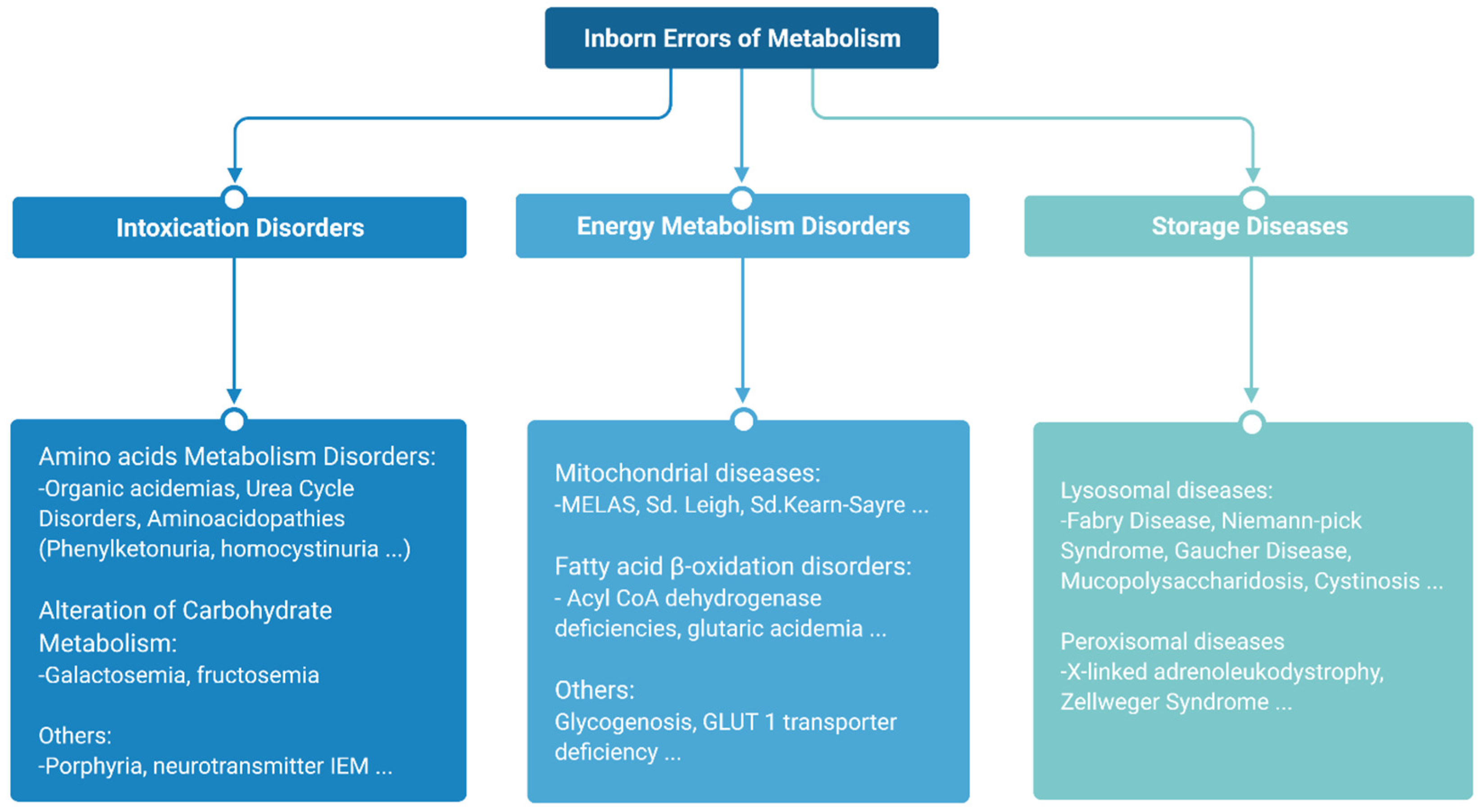 Diagnostics Free Full Text Diagnosis And Management Of Inborn Errors Of Metabolism In Adult