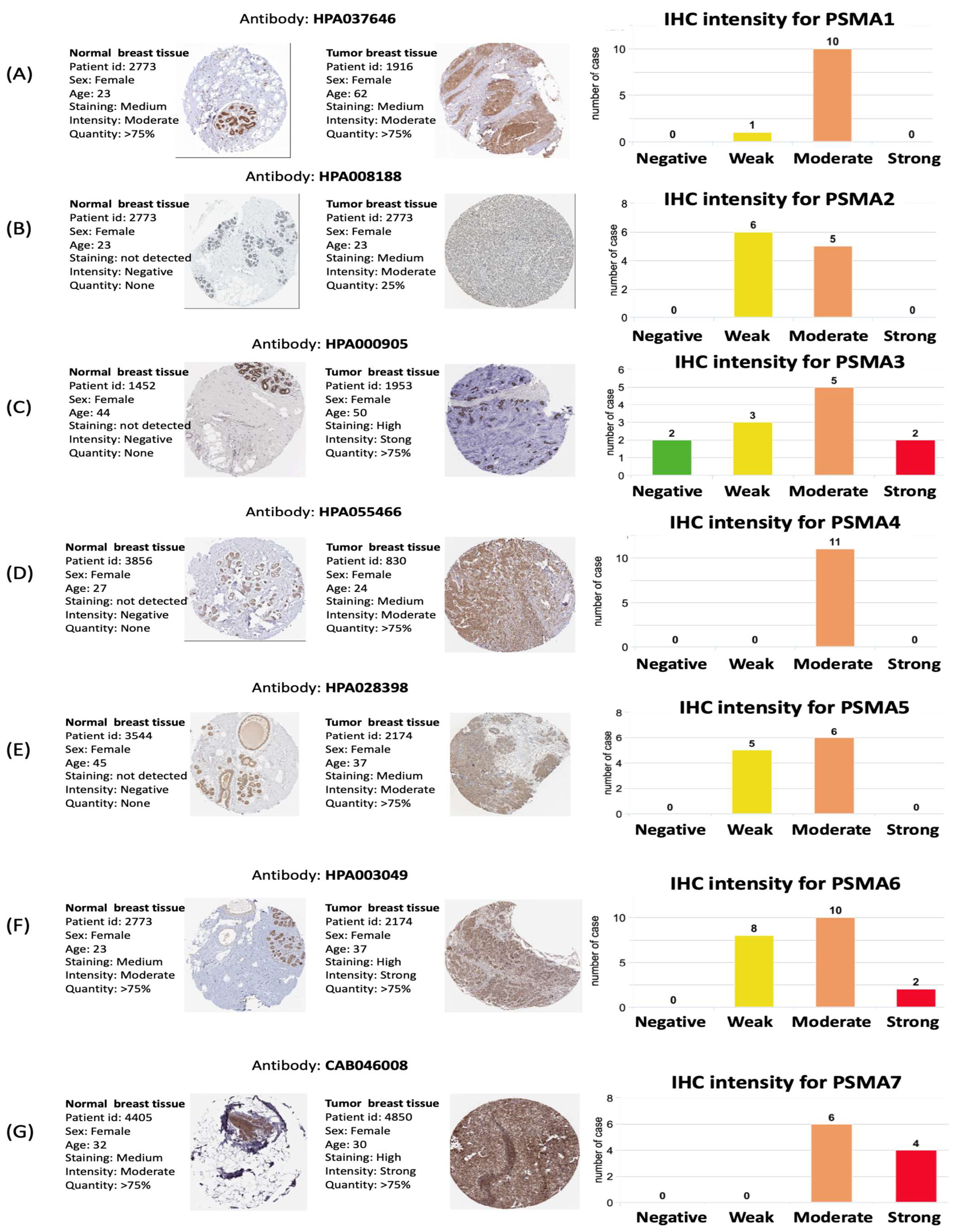 Diagnostics 11 02220 g003
