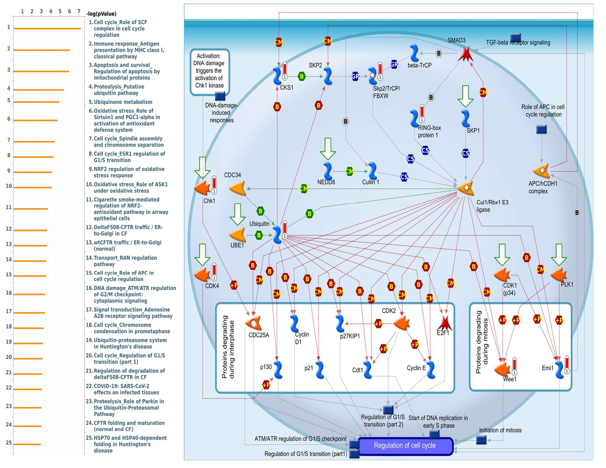 Diagnostics 11 02220 g005