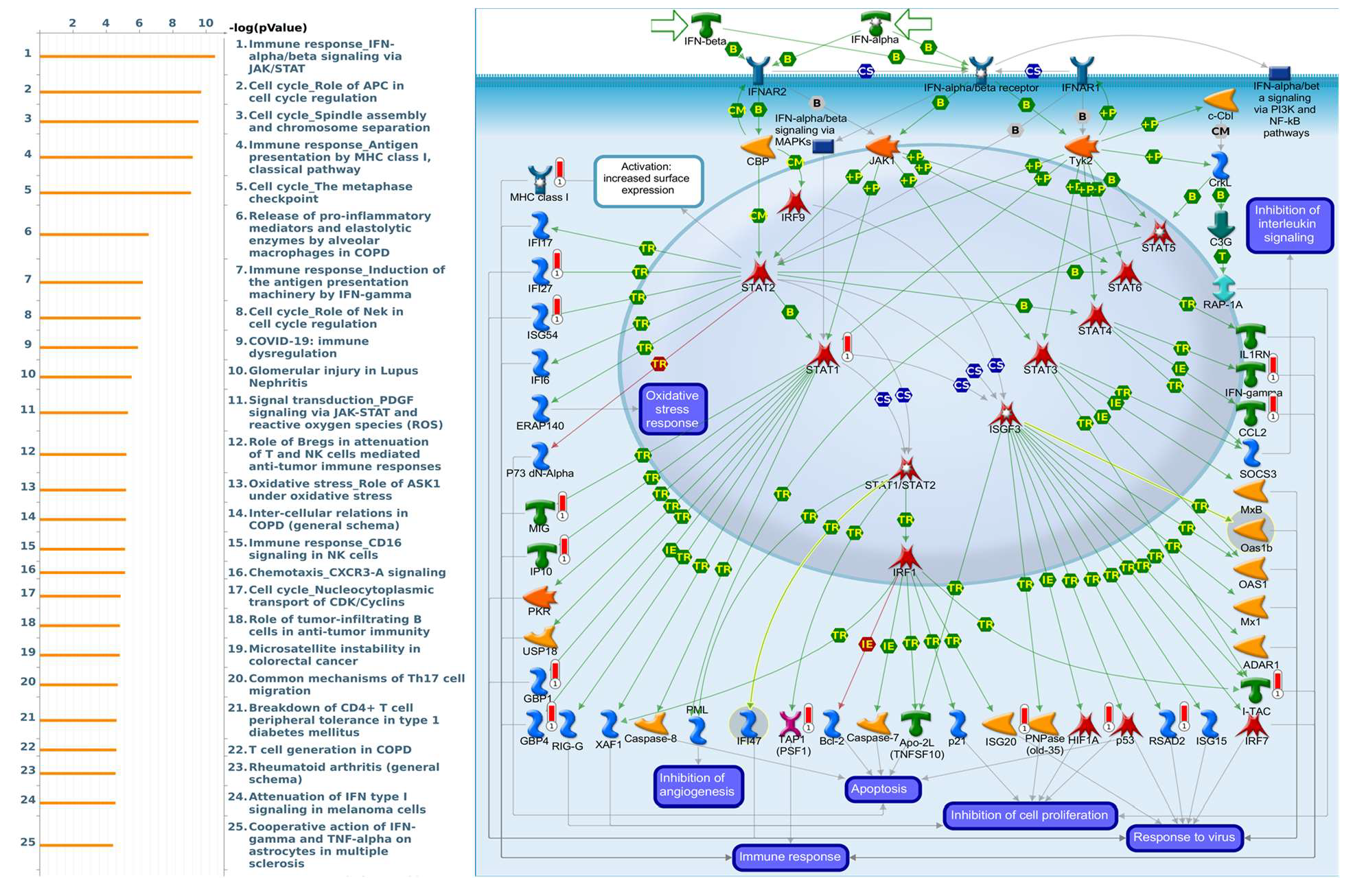 Diagnostics 11 02220 g008